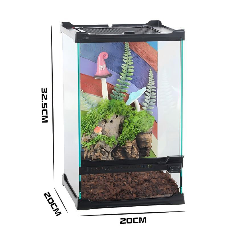 Glass Terrarium Tank