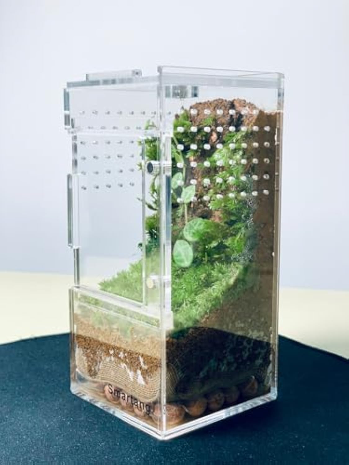 Acrylic Insect Breeding Box