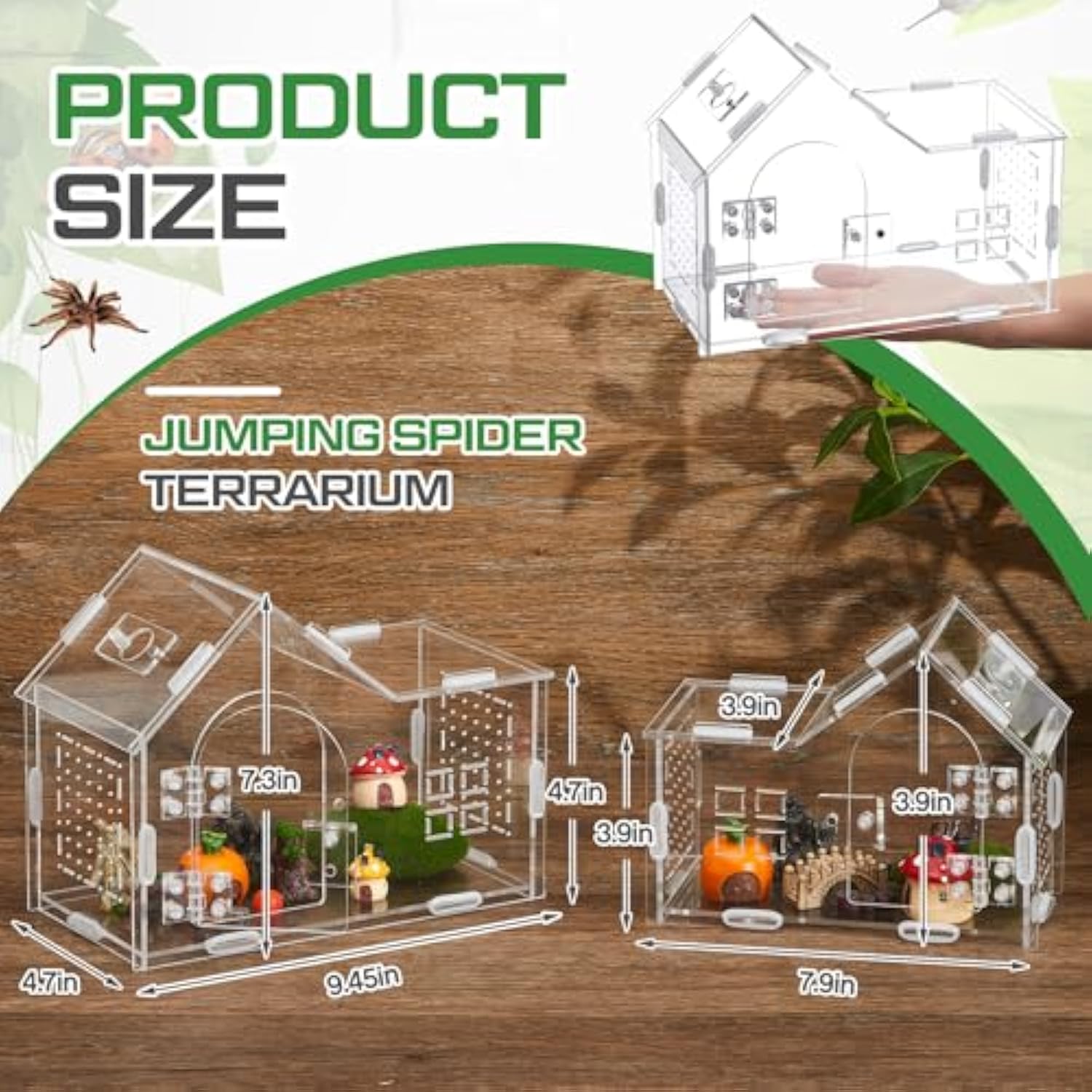 Acrylic Jumping Spider Enclosure