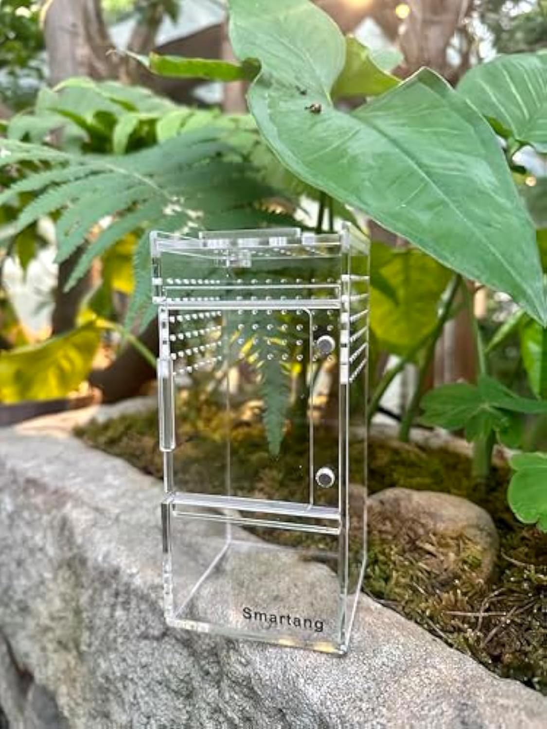 Acrylic Insect Breeding Box
