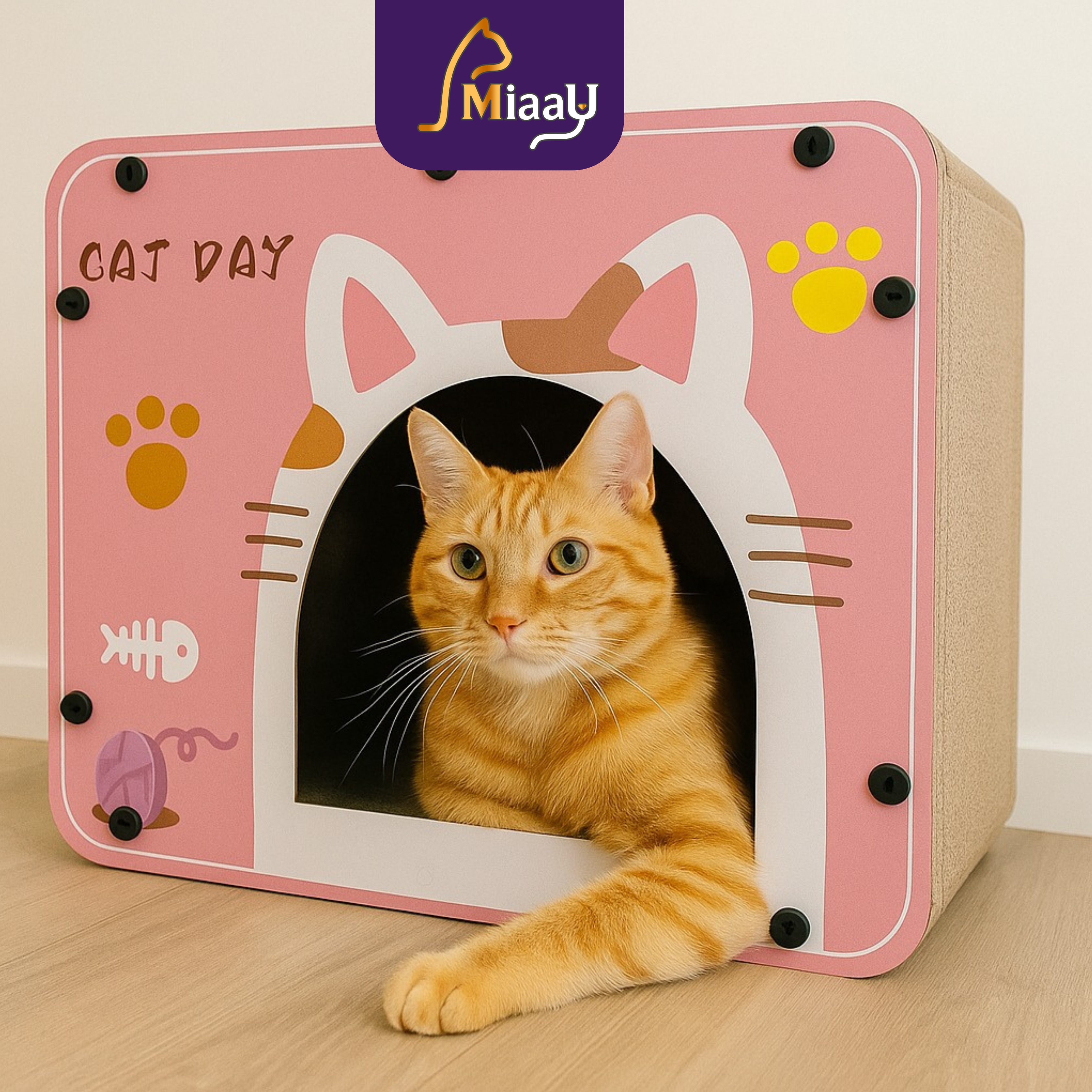 Casita Pink Cat Miaau