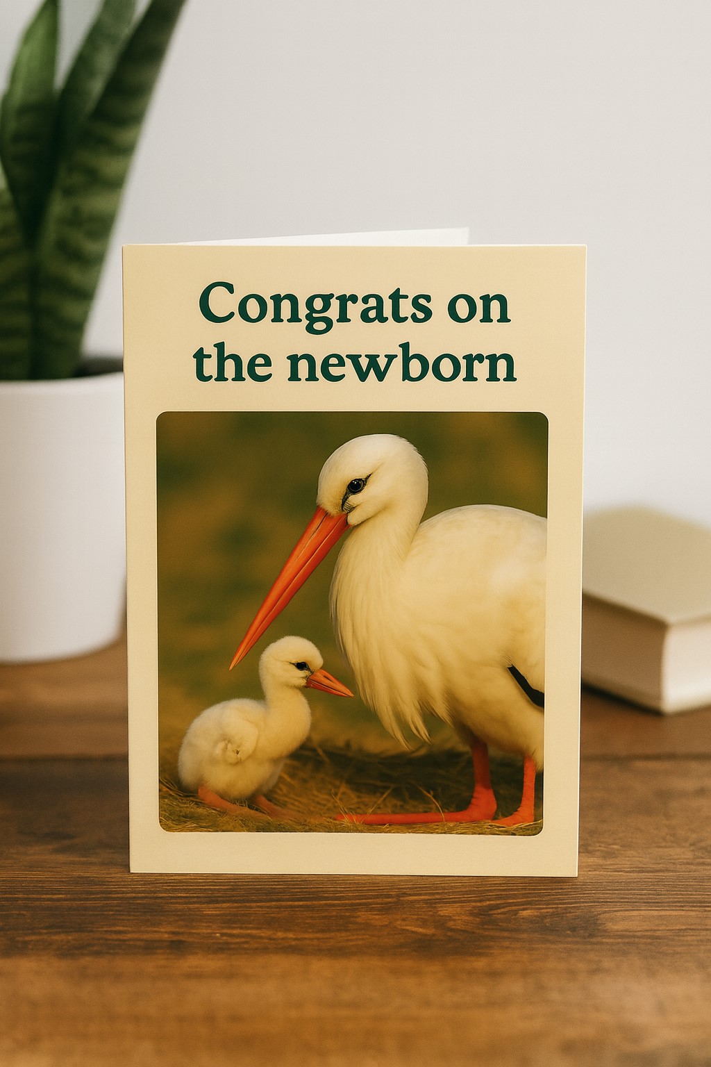 Bird-Themed Newborn Greeting Card