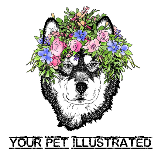 Your Pet Illustrated 