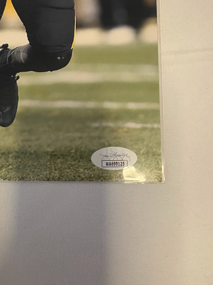 Pittsburg Steelers Antonio Brown Print