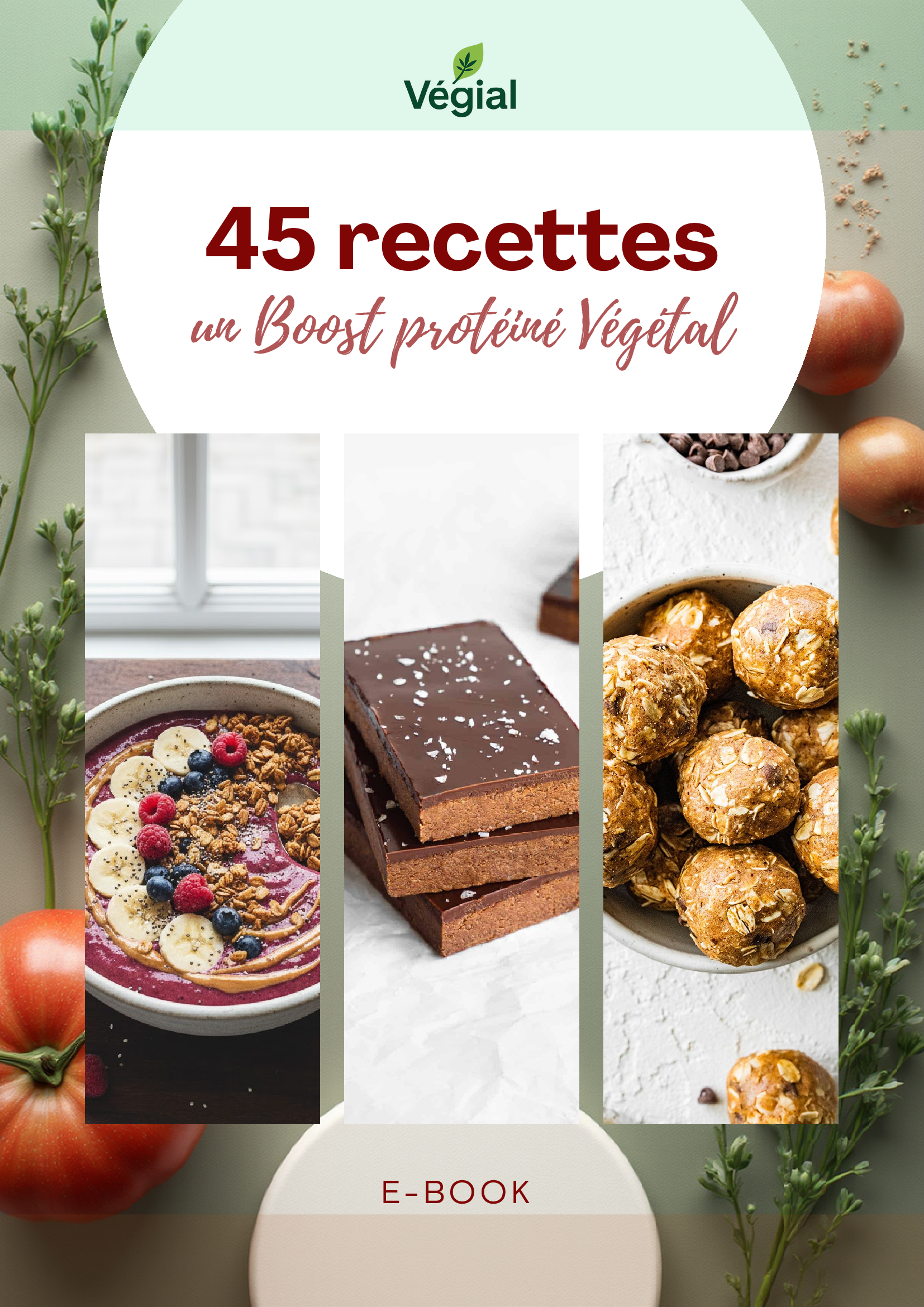 Végial: 45 recettes protéinées 100% végétales