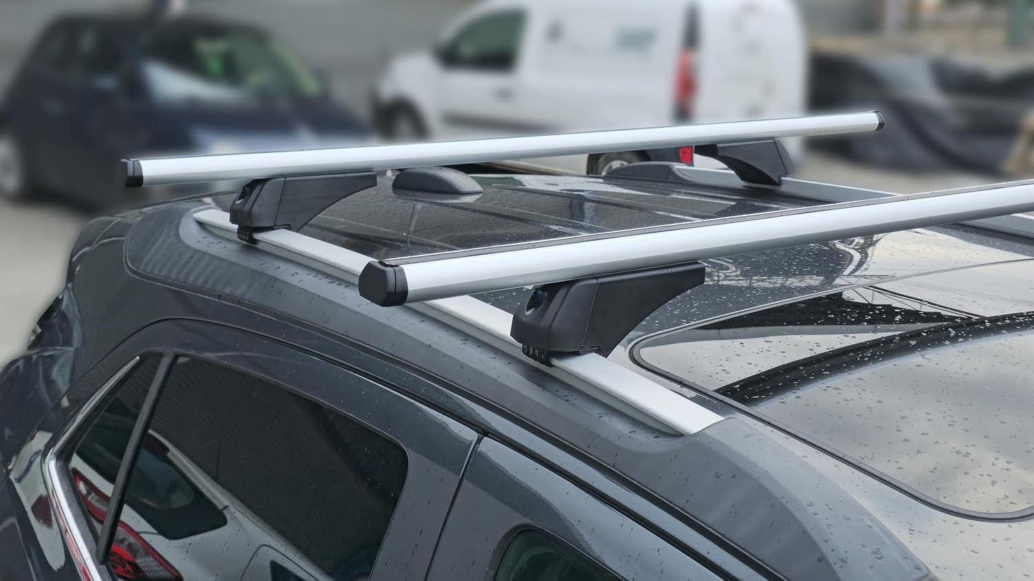 Barre Portatutto Universali Adatte Per Rails Chiusi