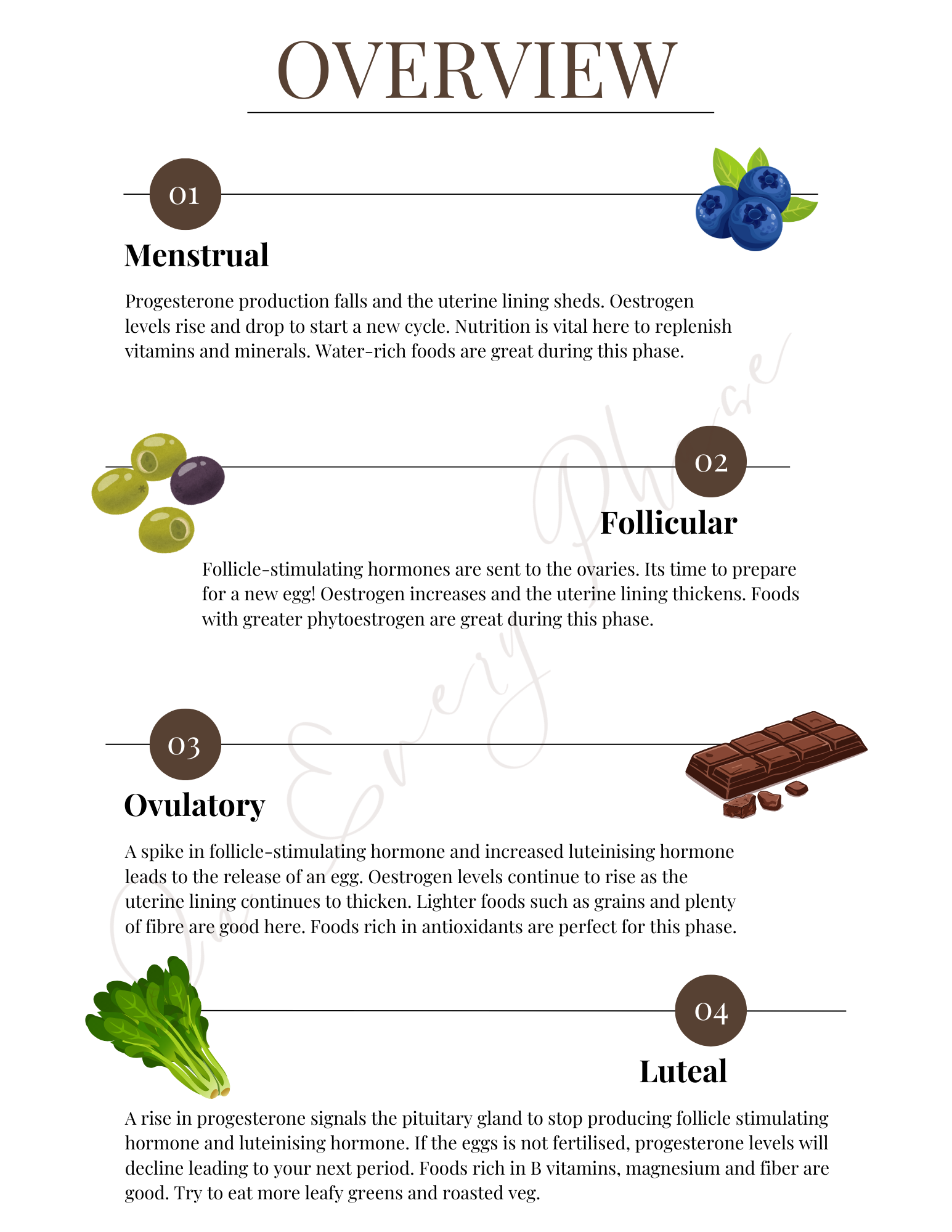 Cycle Syncing Diet Plan Guide