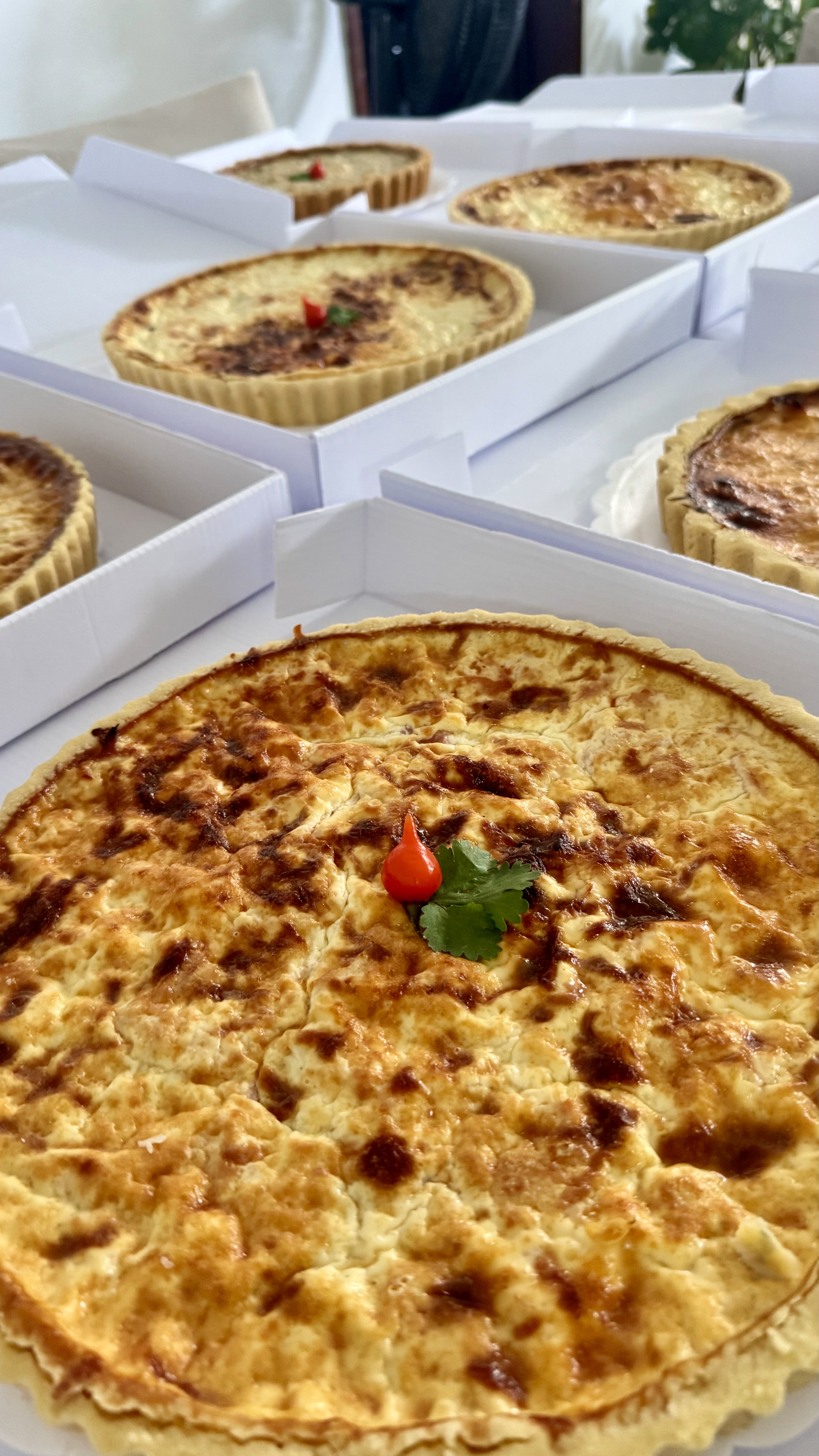 Quiche Camarão