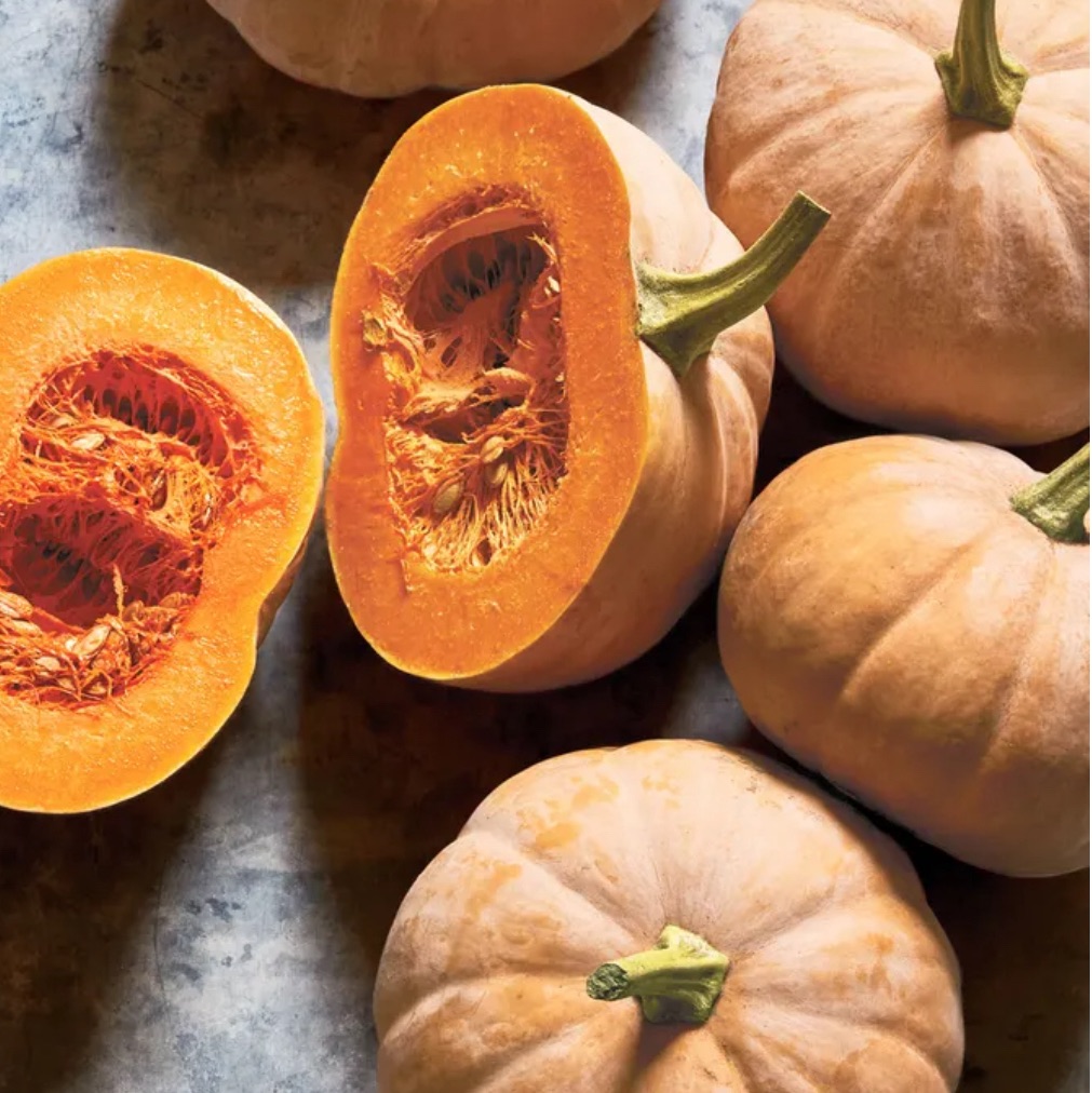ButterKin Winter Squash