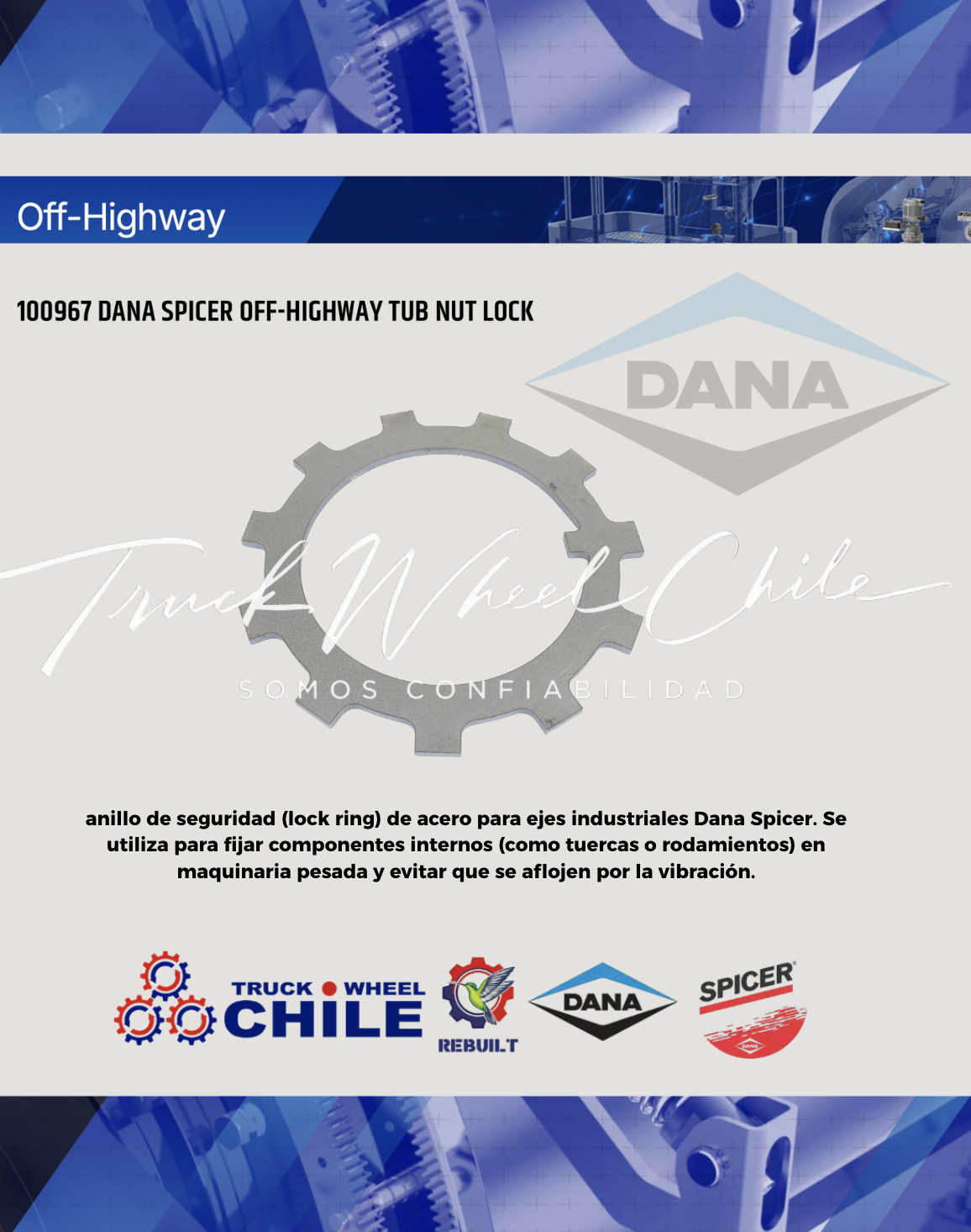Anillo de seguridad Dana Spicer 100967