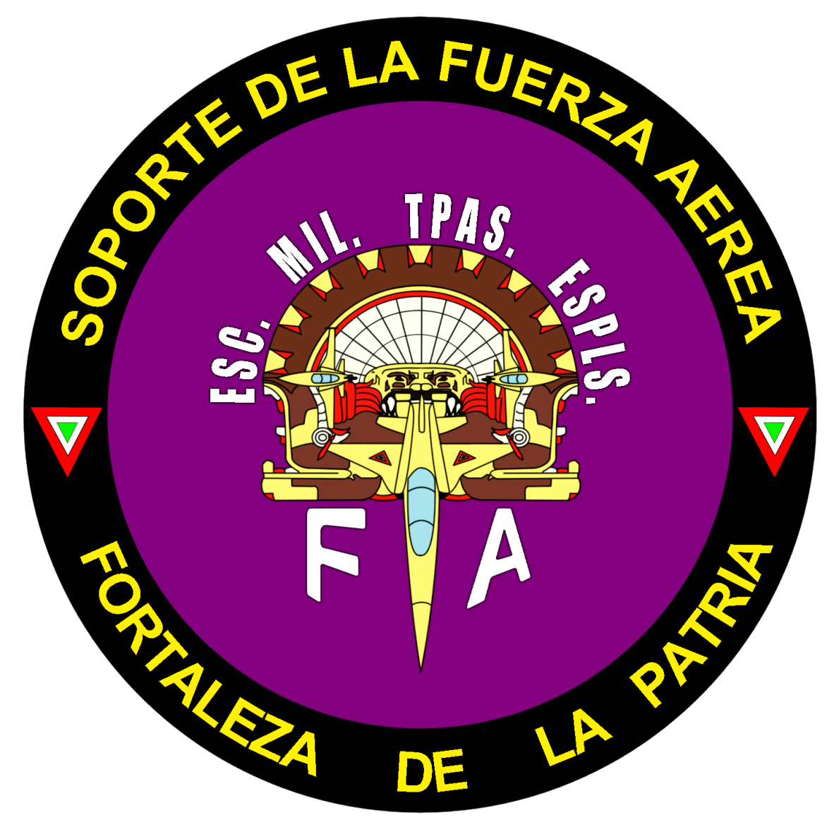 Formación de Sargentos 1/os. de F.A. Abastecedor de Material Aéreo 