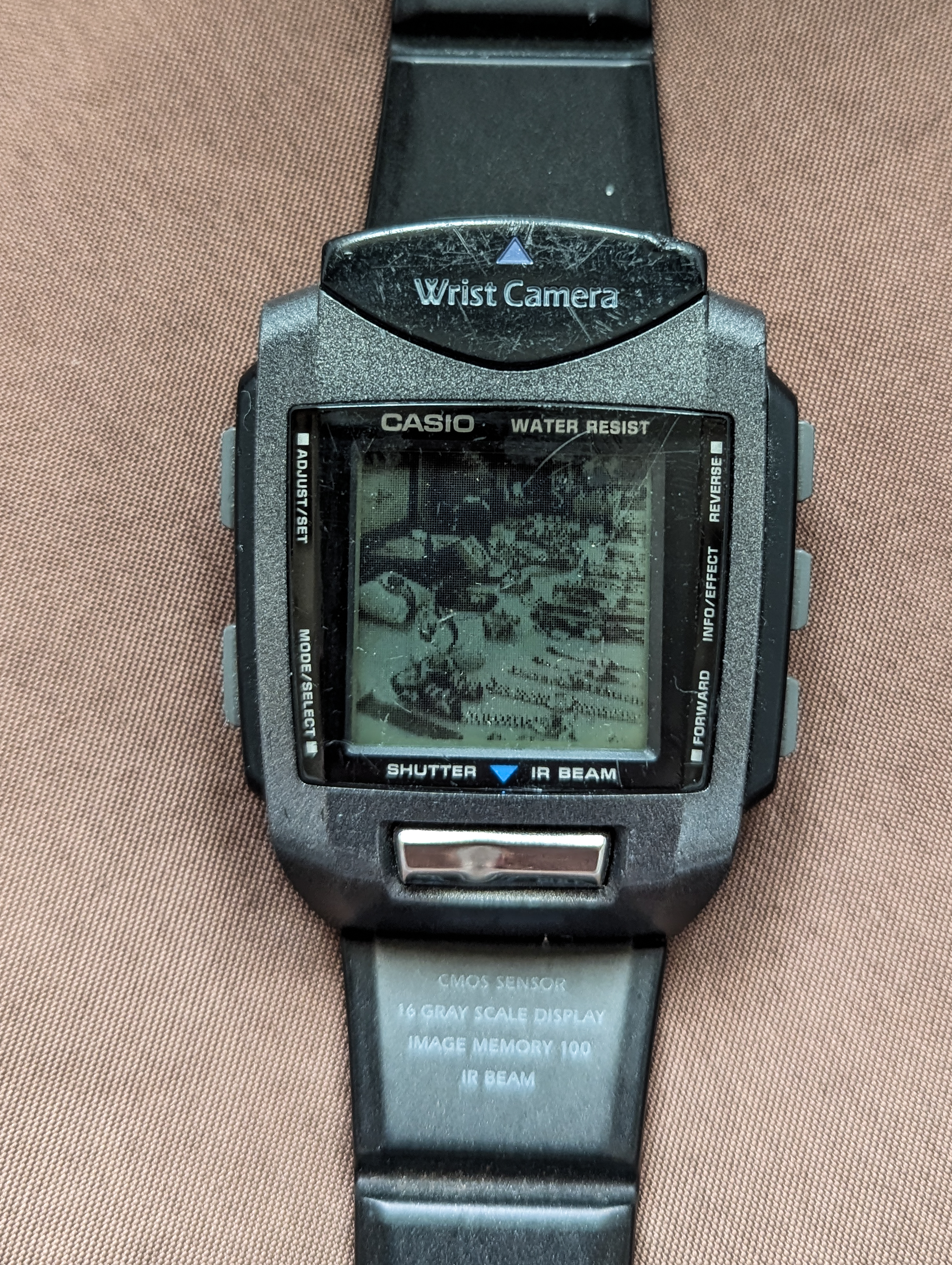 Casio WQV-1 