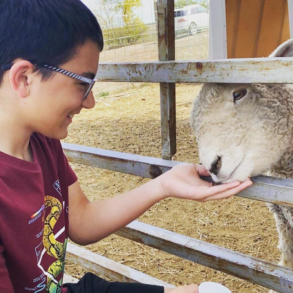 Book Tickets To Visit The Farm