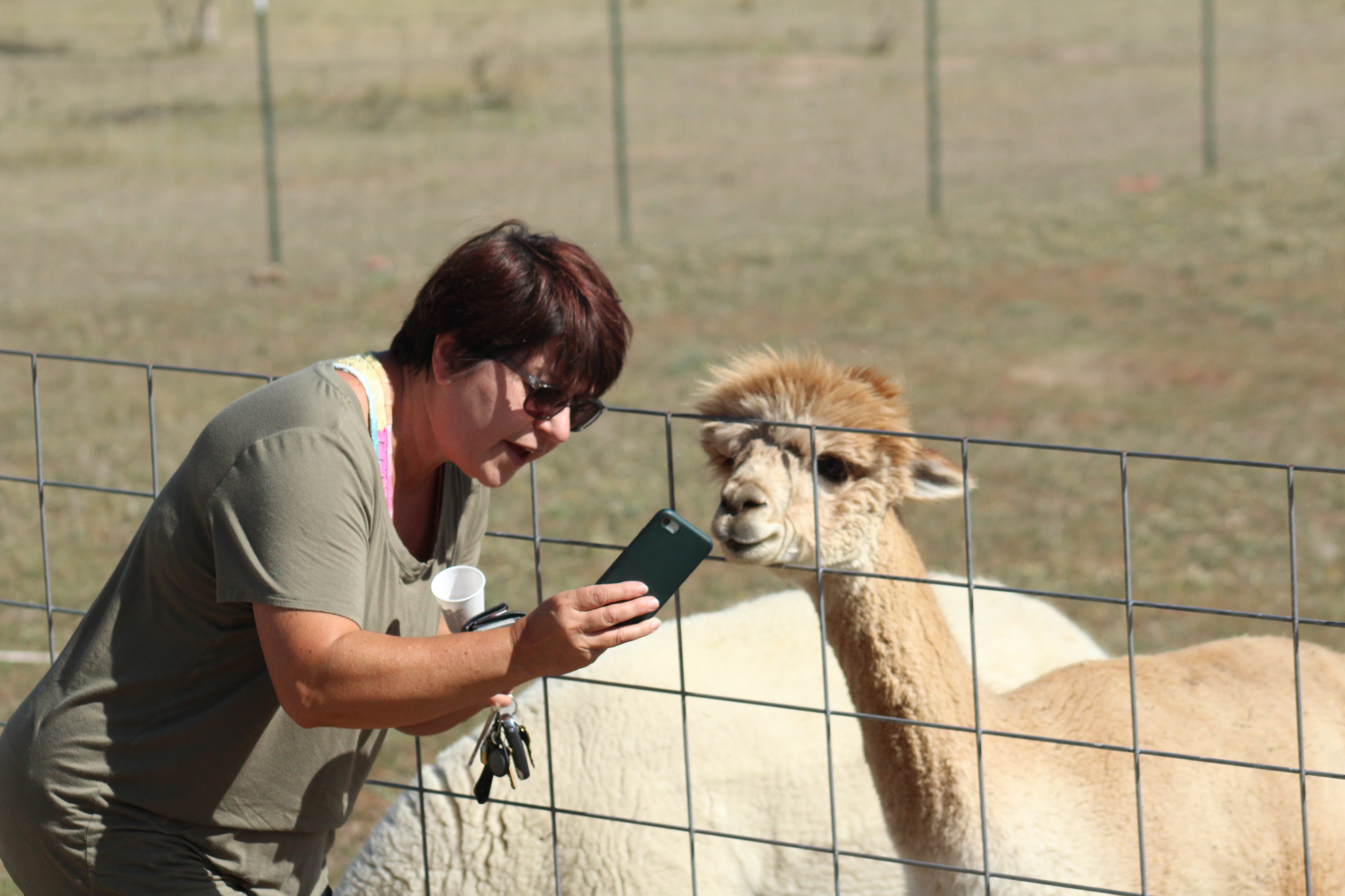 Book Tickets To Visit The Farm