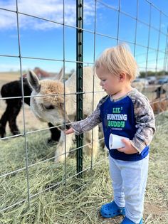 Book Tickets To Visit The Farm