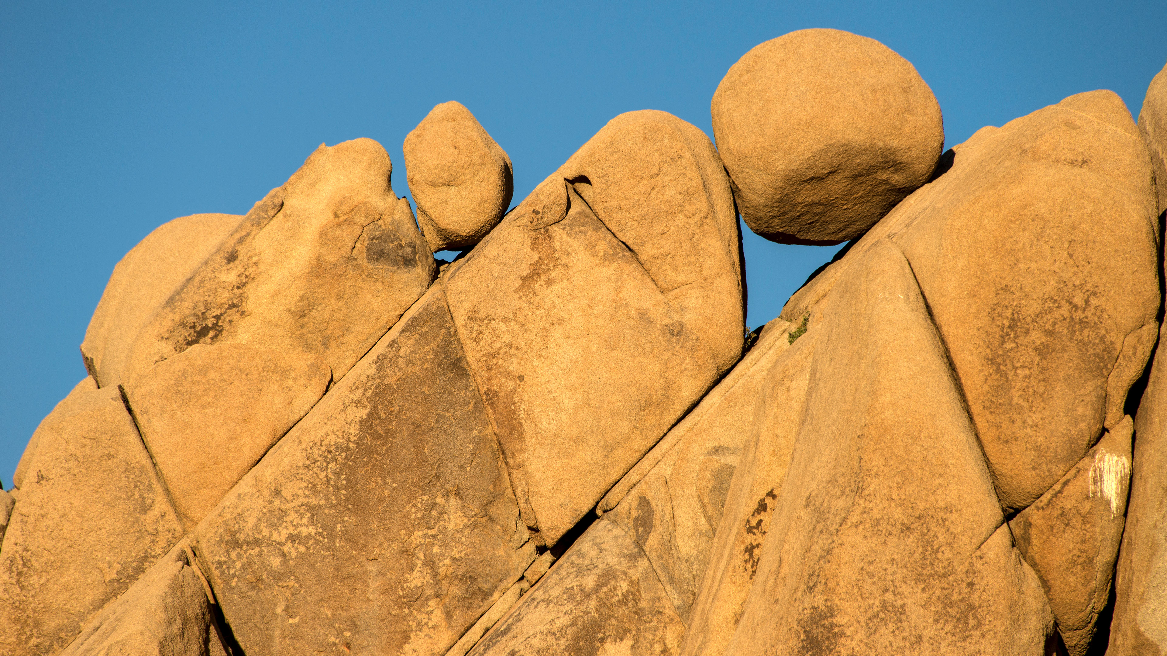 15-minute Consultations