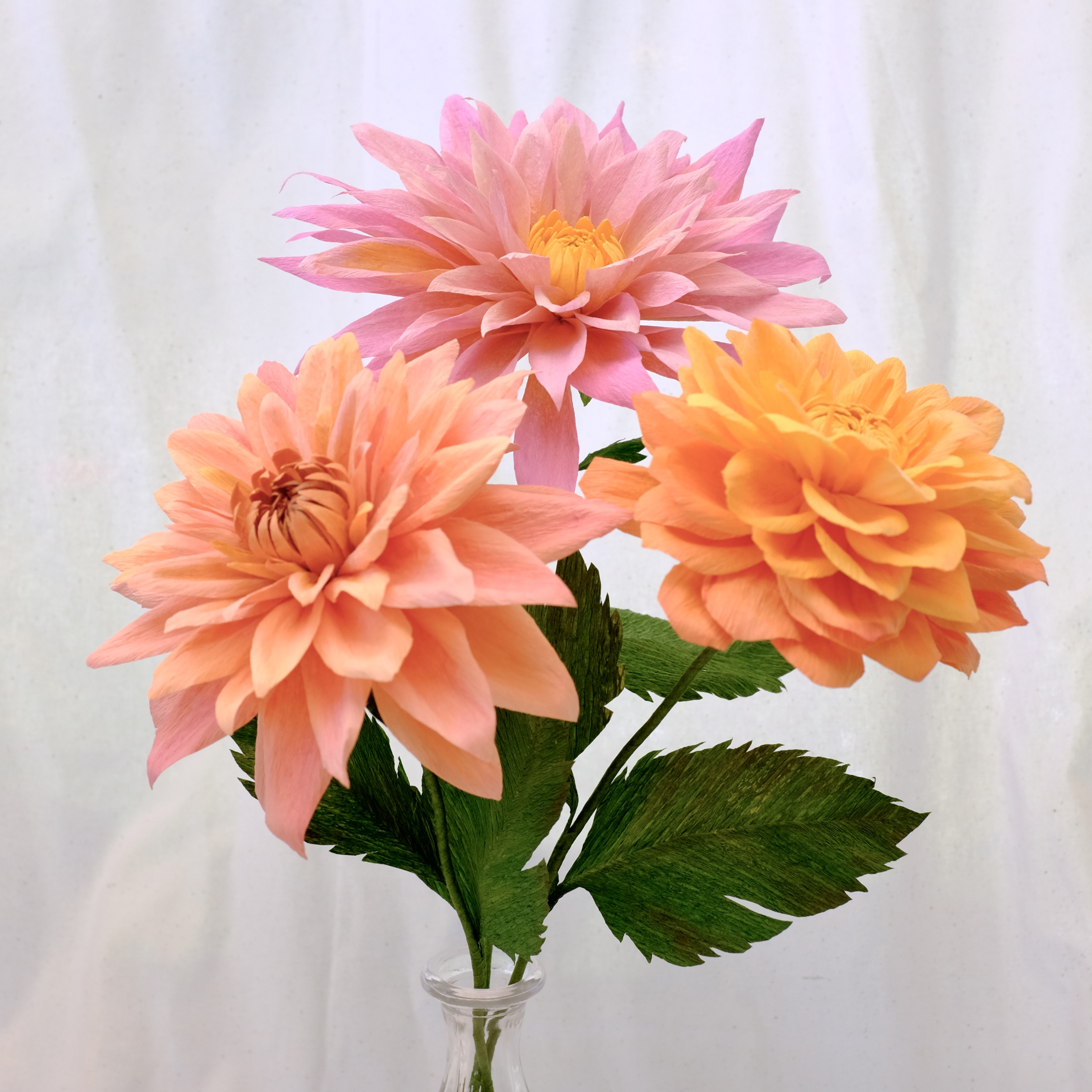 Dahlias