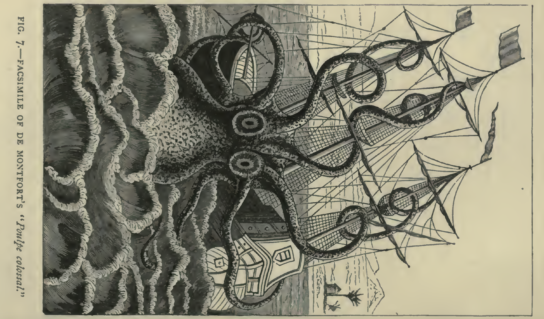 Linogravure Le Kraken