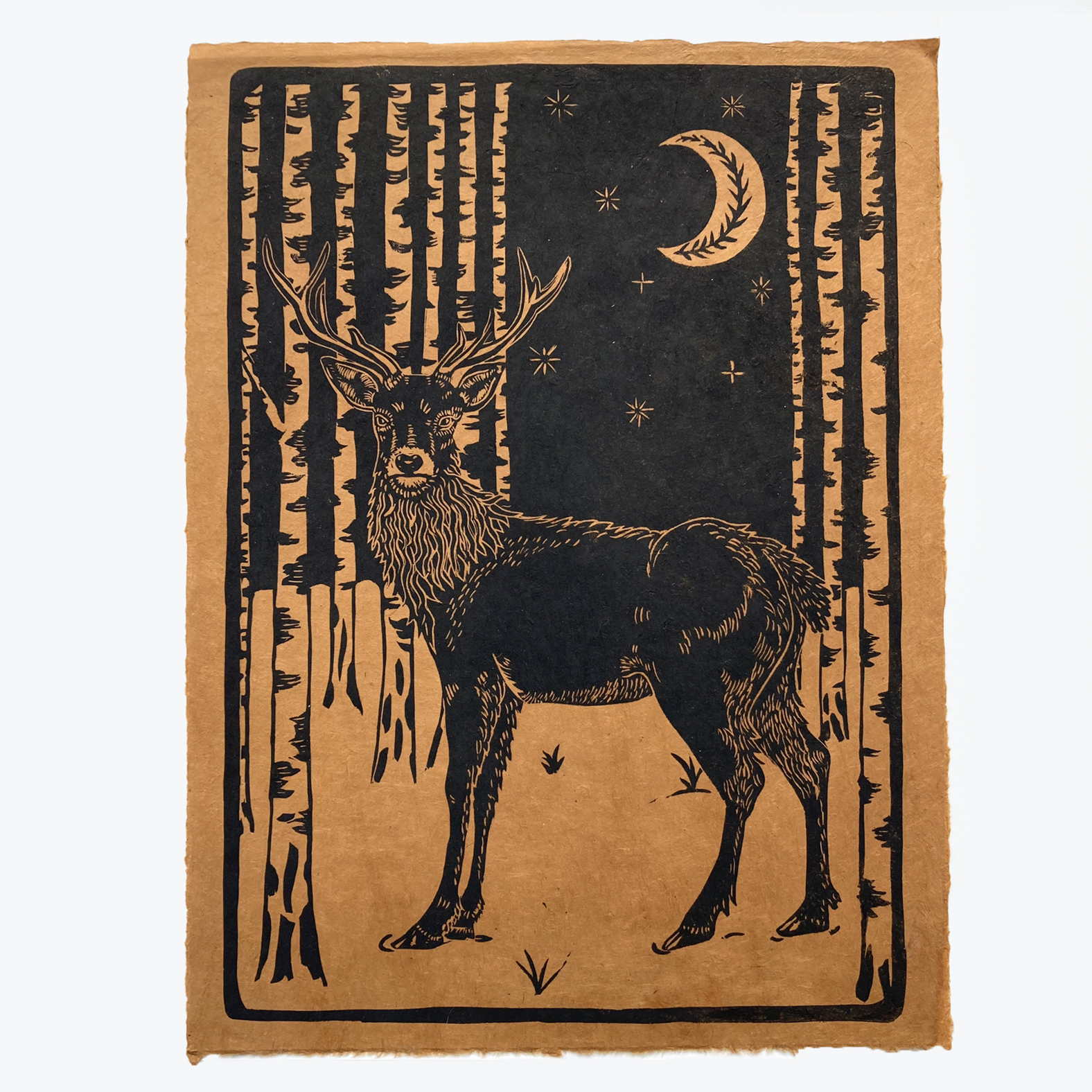 Linogravure cerf dans une forêt de bouleaux