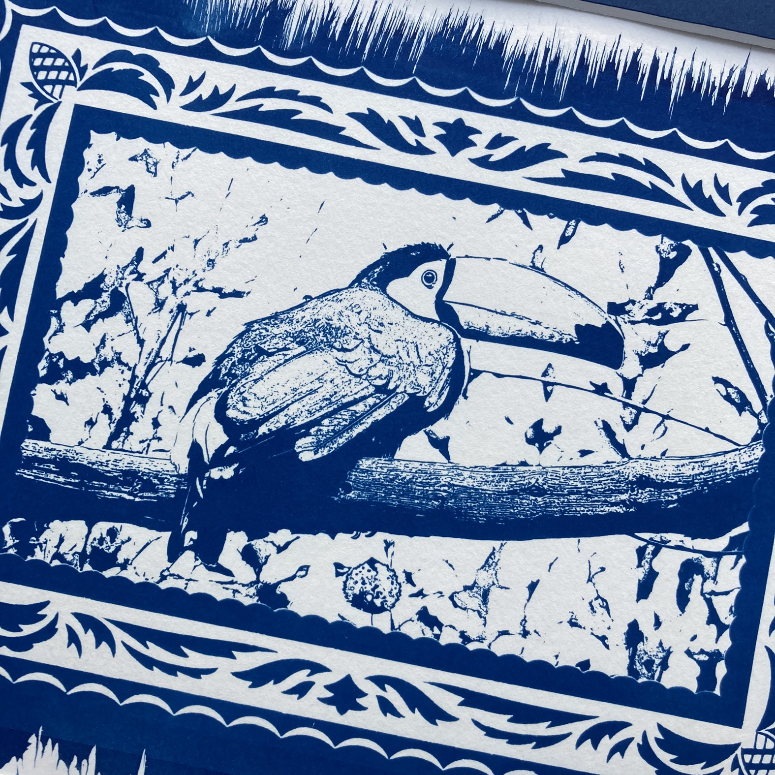 Cyanotype Toucan