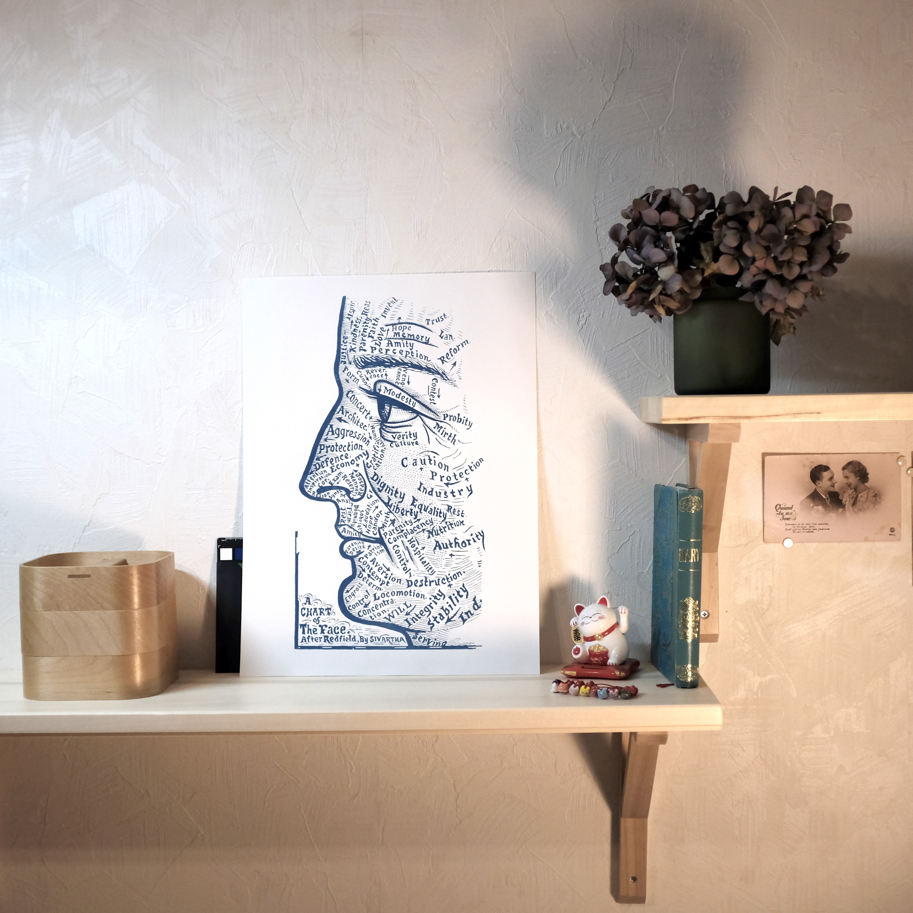 Cyanotype « Chart of the face » Dr Sivartha, 1898