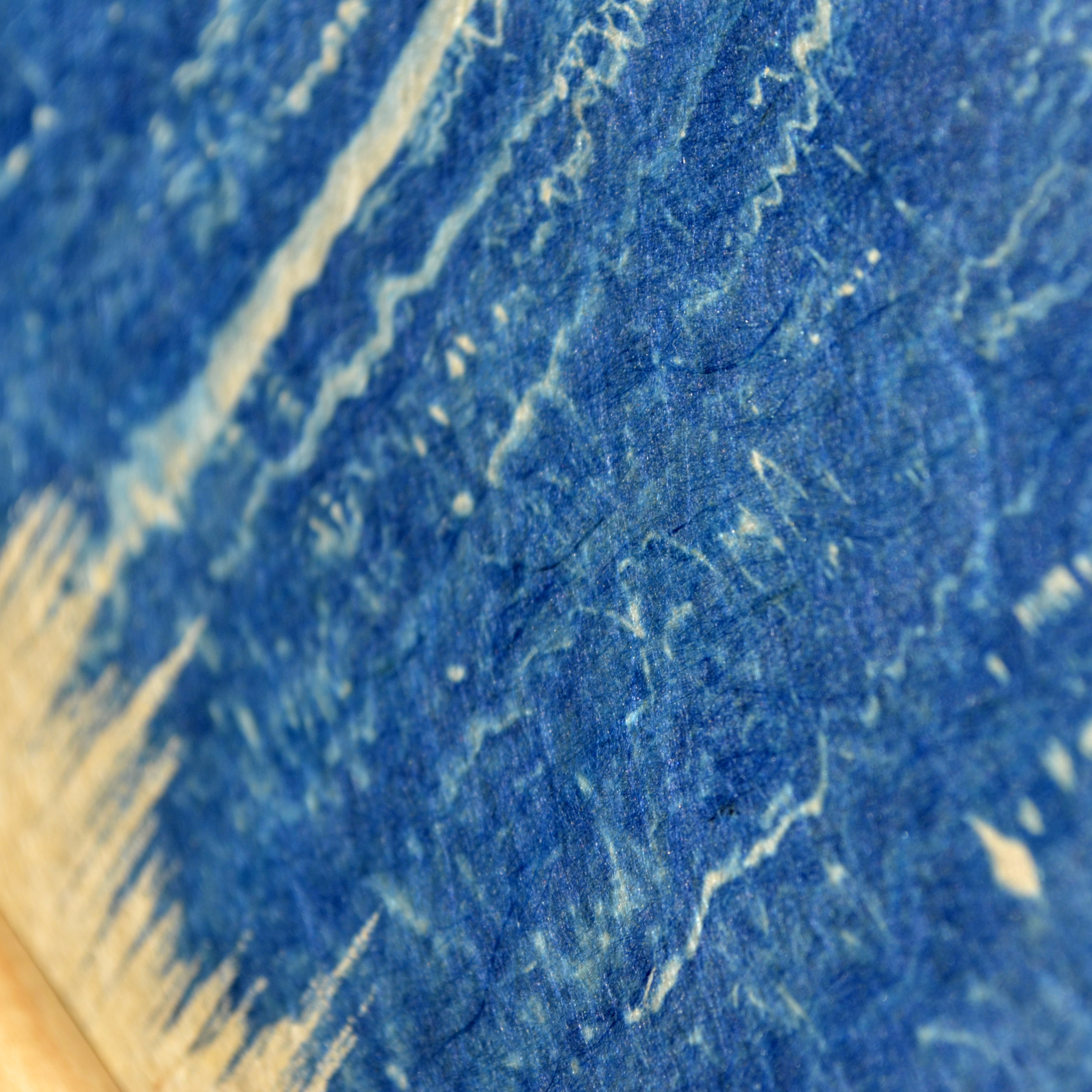 Cyanotype « Le flamant rose »