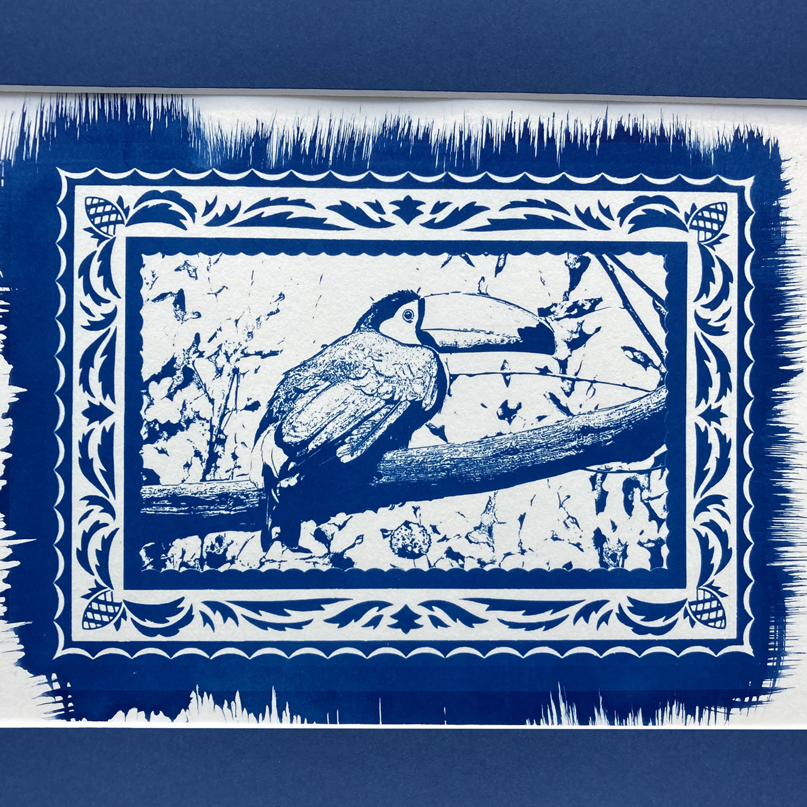 Cyanotype Toucan