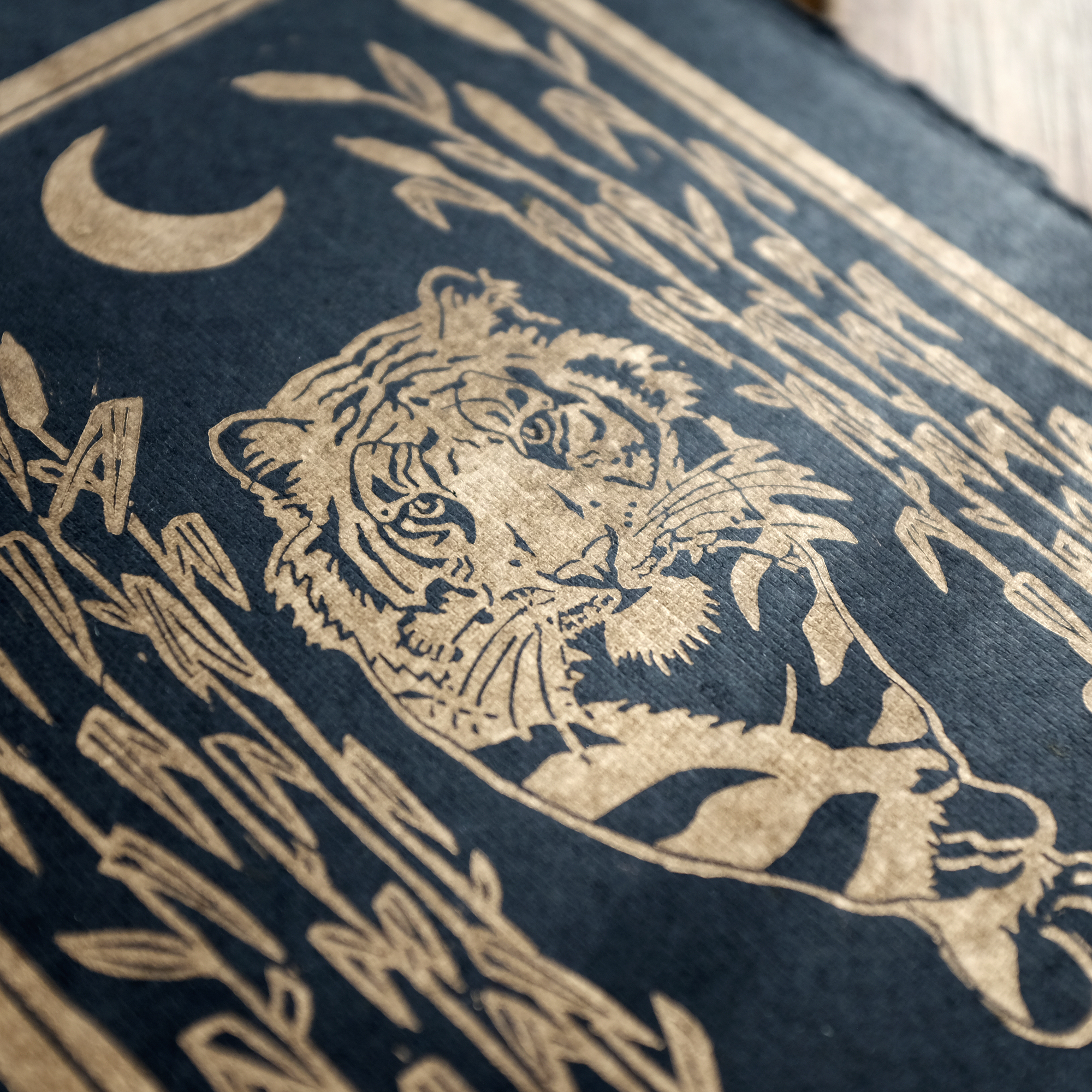 Linogravure Le tigre aux roseaux, doré & noir