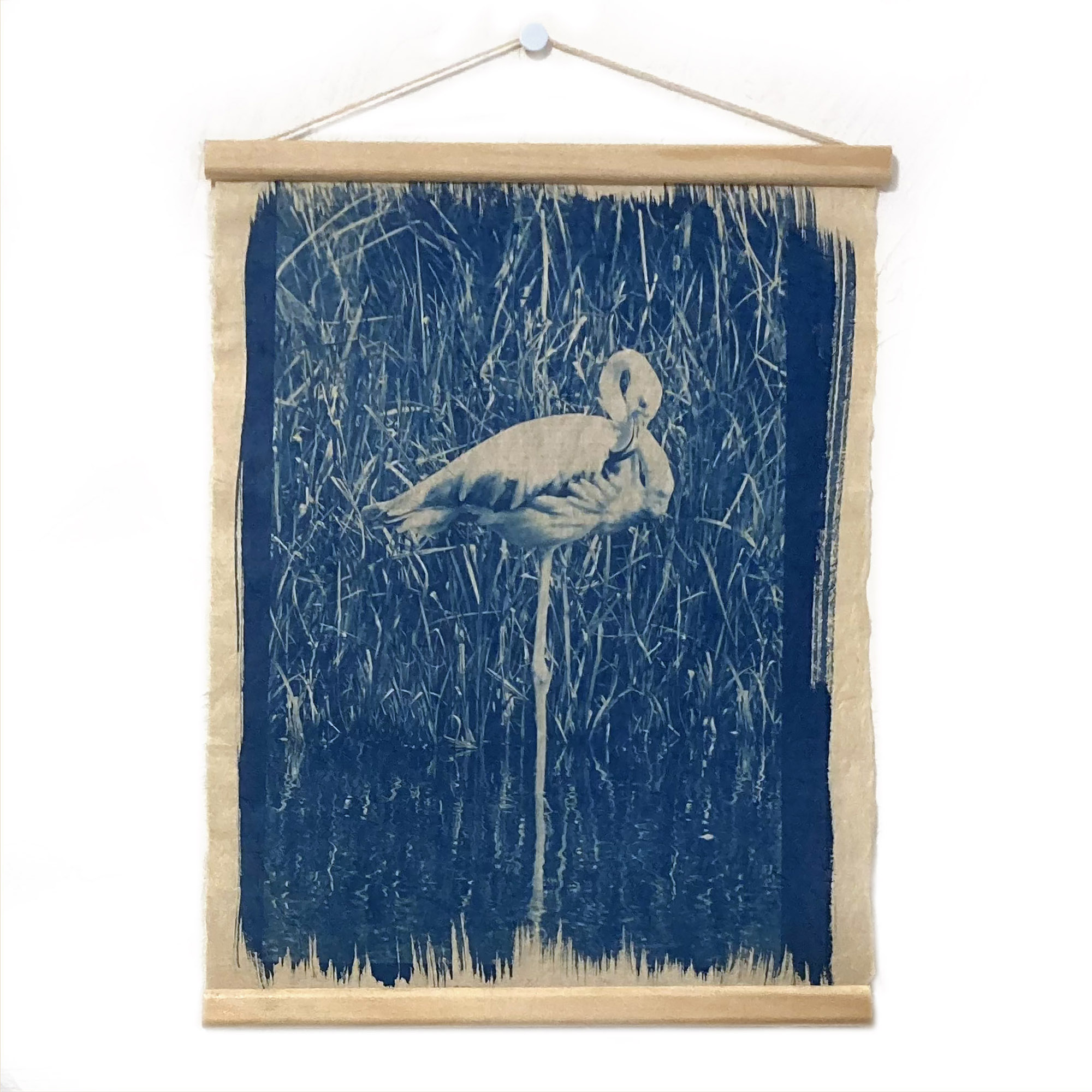 Cyanotype « Le flamant rose »