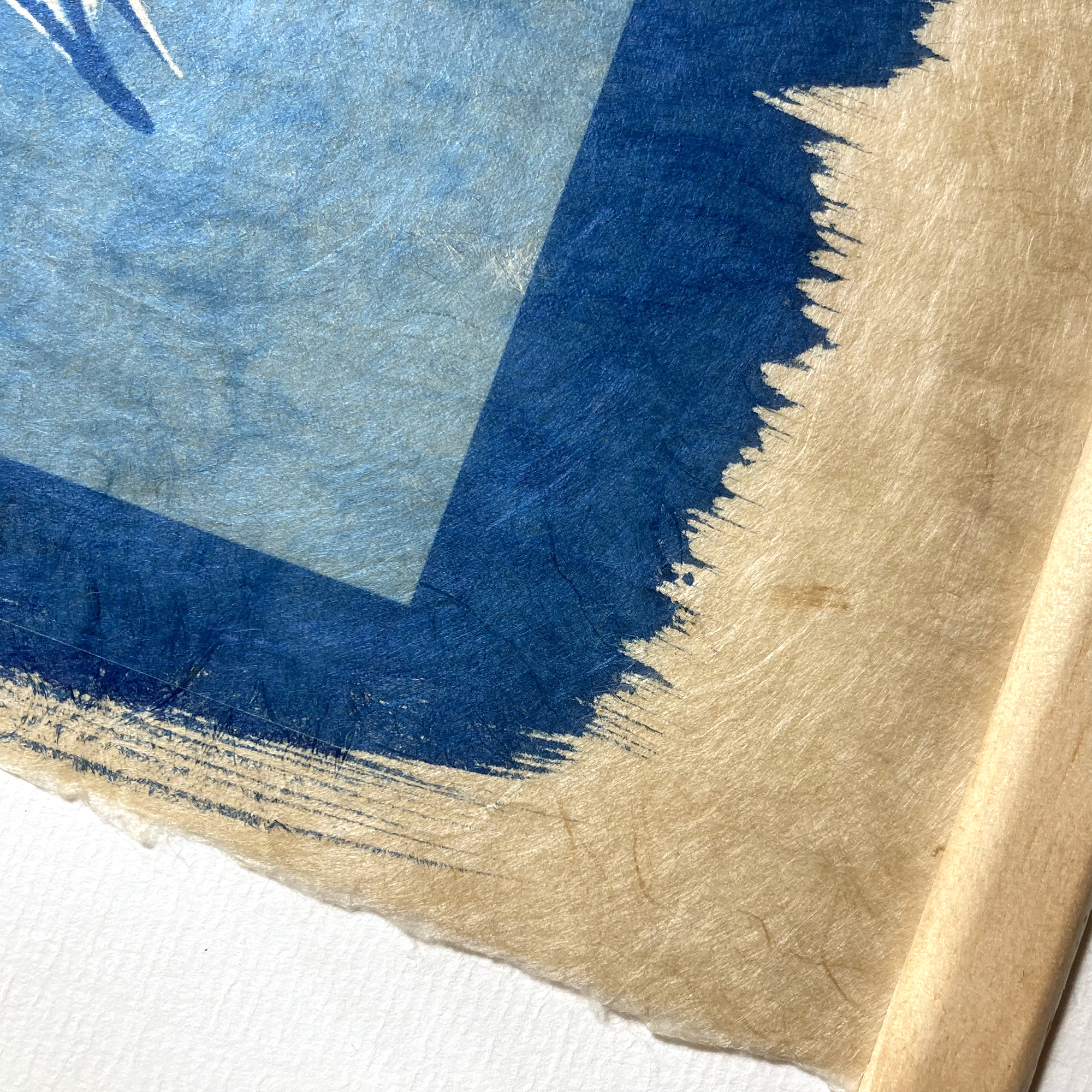 Cyanotype « Le papillon Machaon»