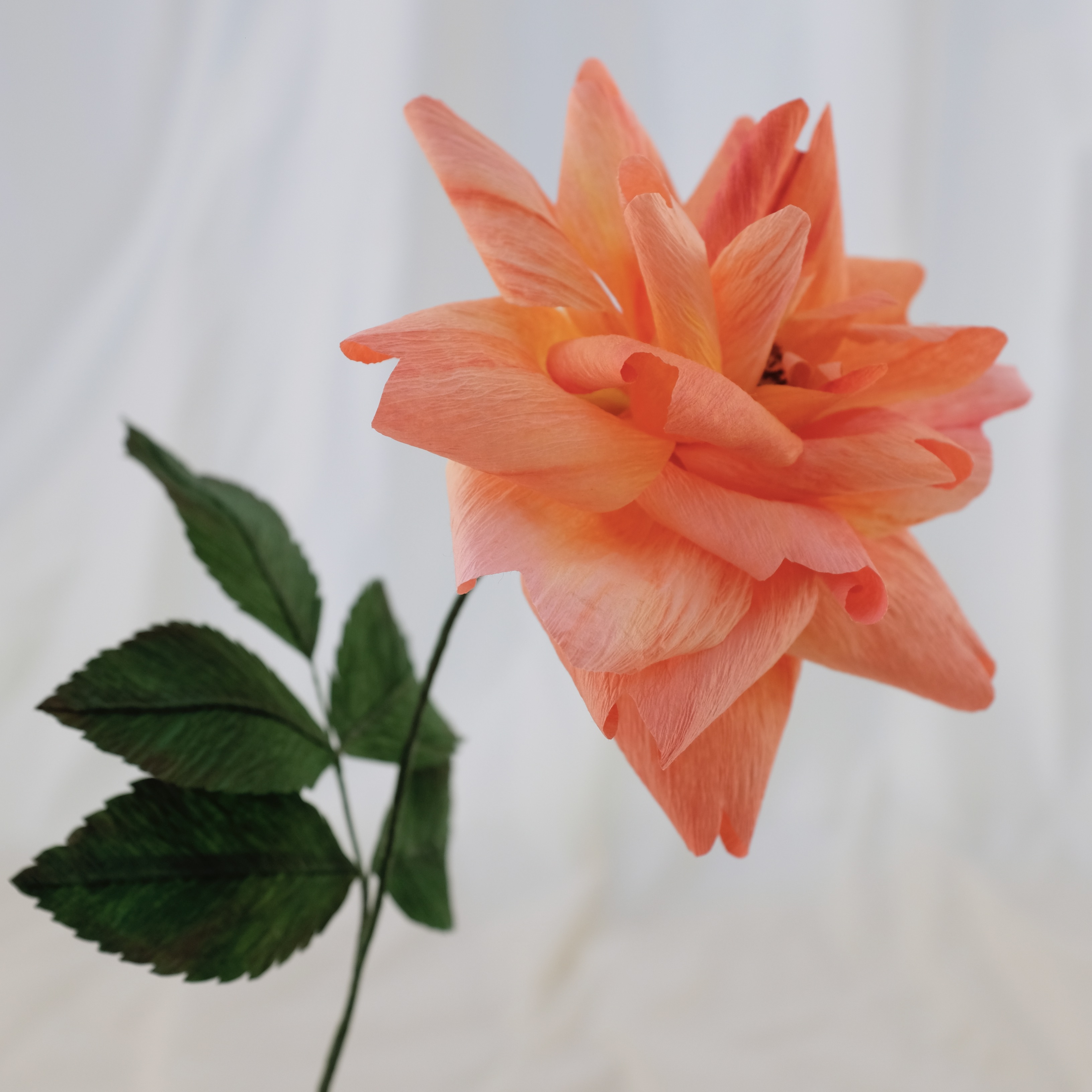 Fleur en papier : Rose (rose orangé)