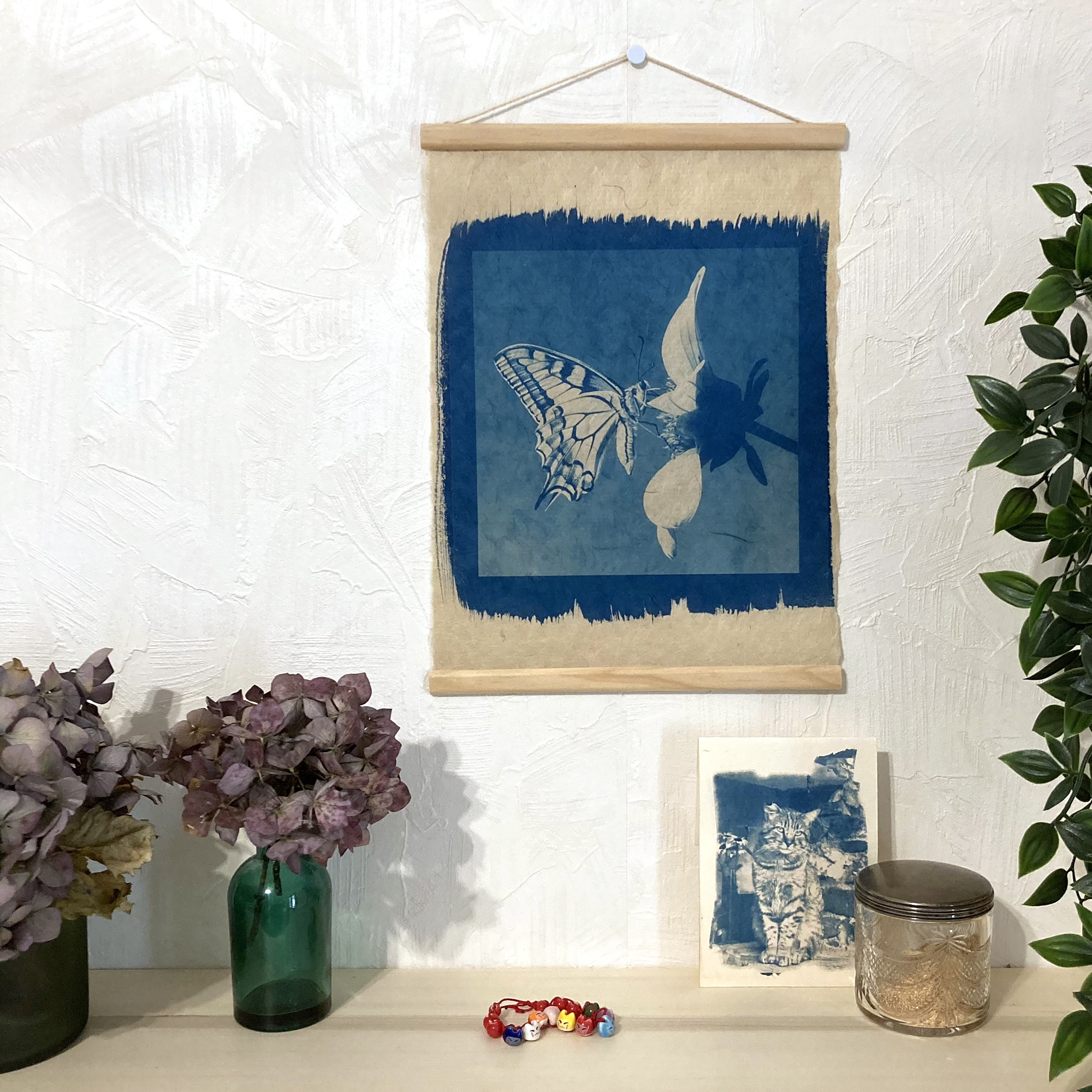 Cyanotype « Le papillon Machaon»