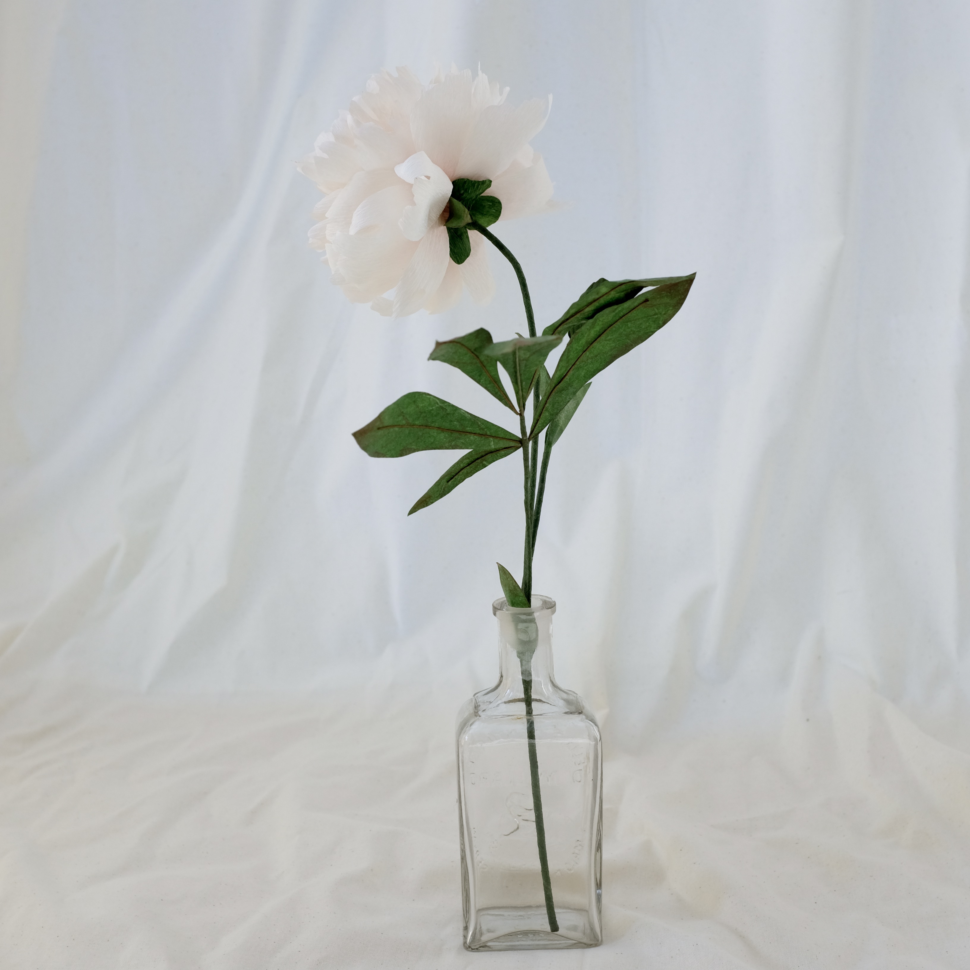 Fleur en papier : Pivoine blanche