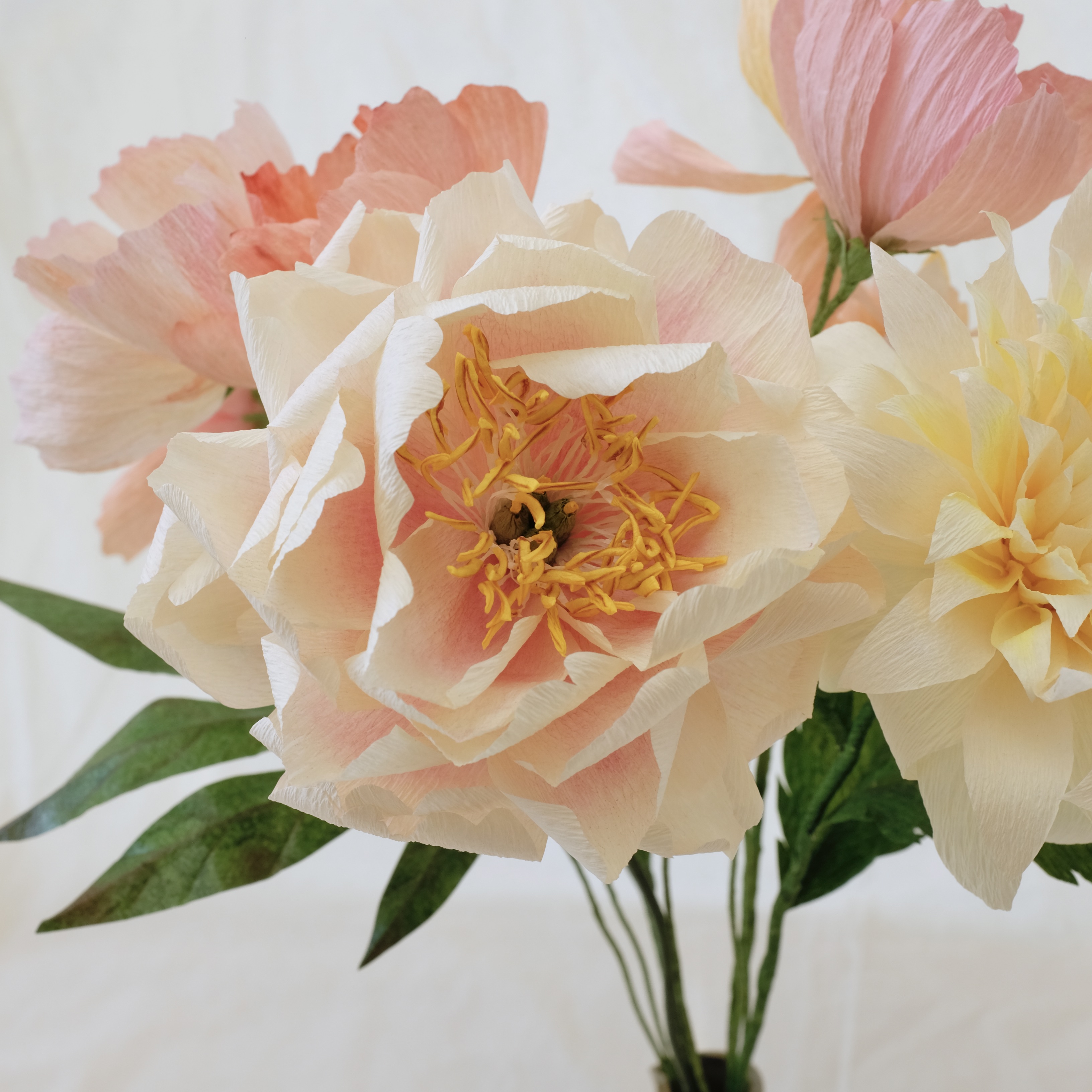 Bouquet de fleurs en papier tons pastels : pivoine blanche, deux dahlias rose poudré, un dahlia crème, cinq cosmos tons pastels