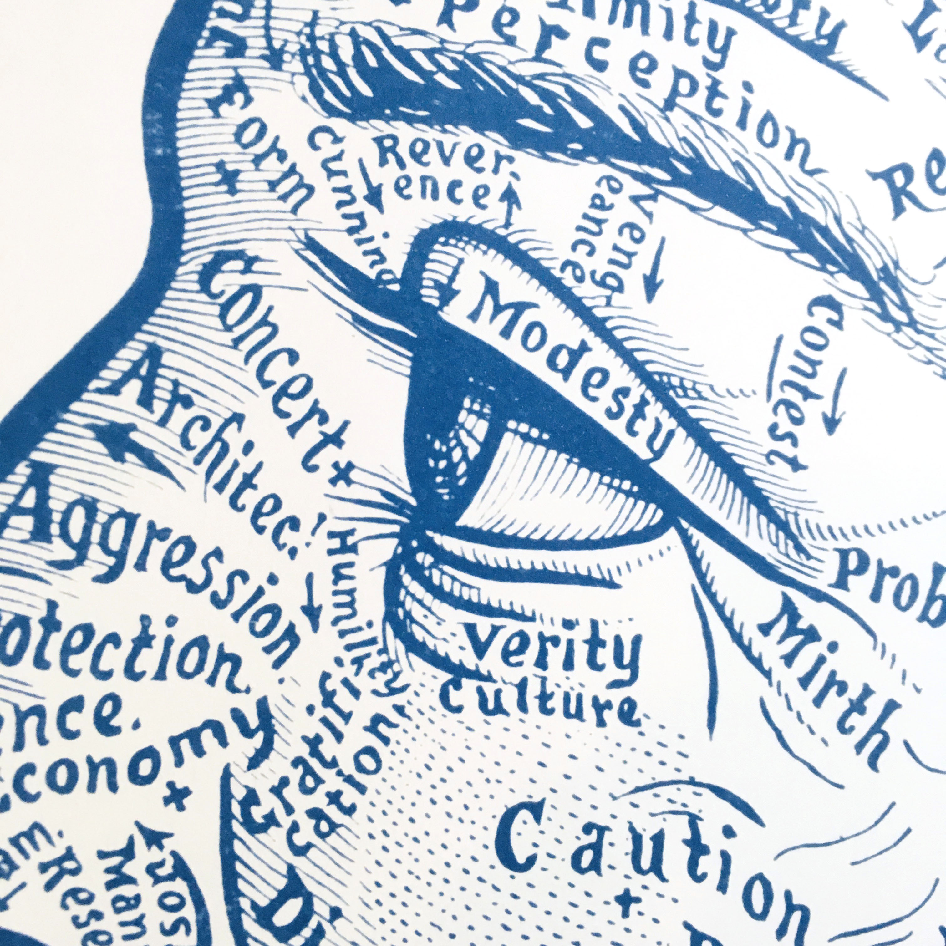 Cyanotype « Chart of the face » Dr Sivartha, 1898