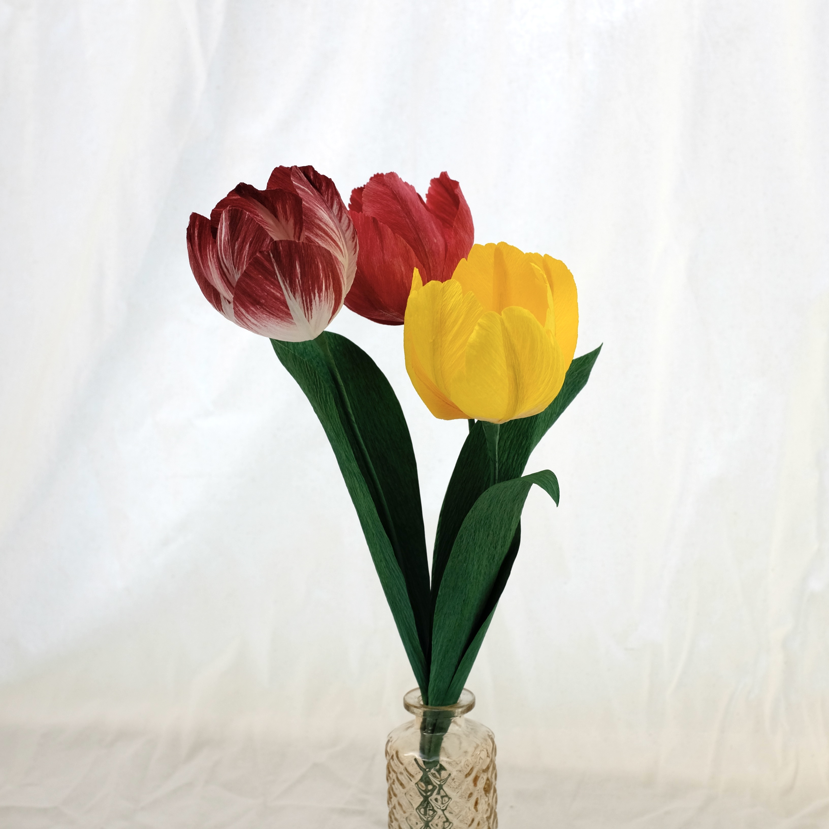 Tulipes