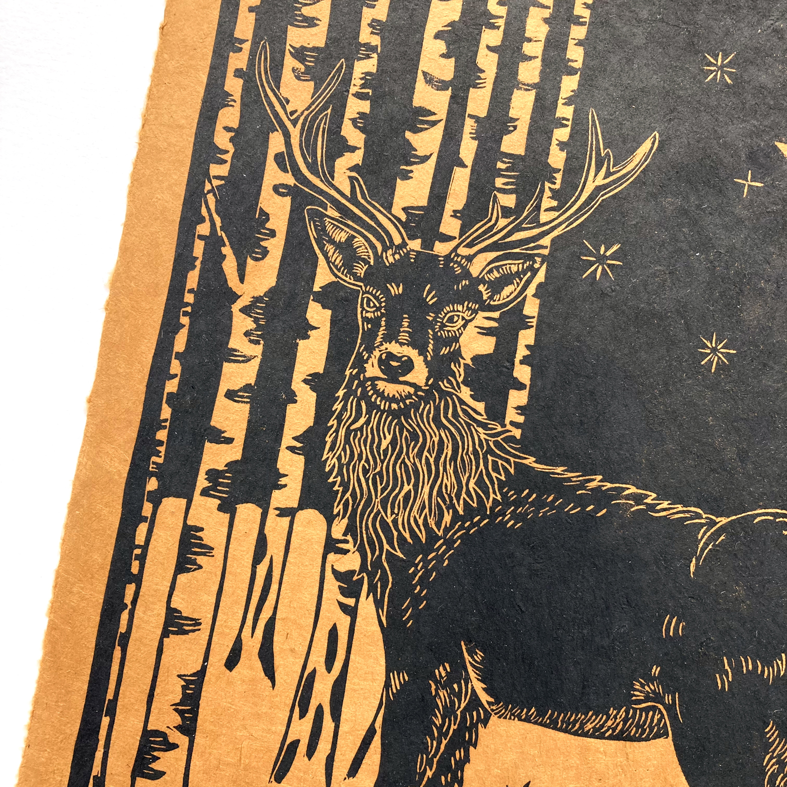 Linogravure cerf dans une forêt de bouleaux