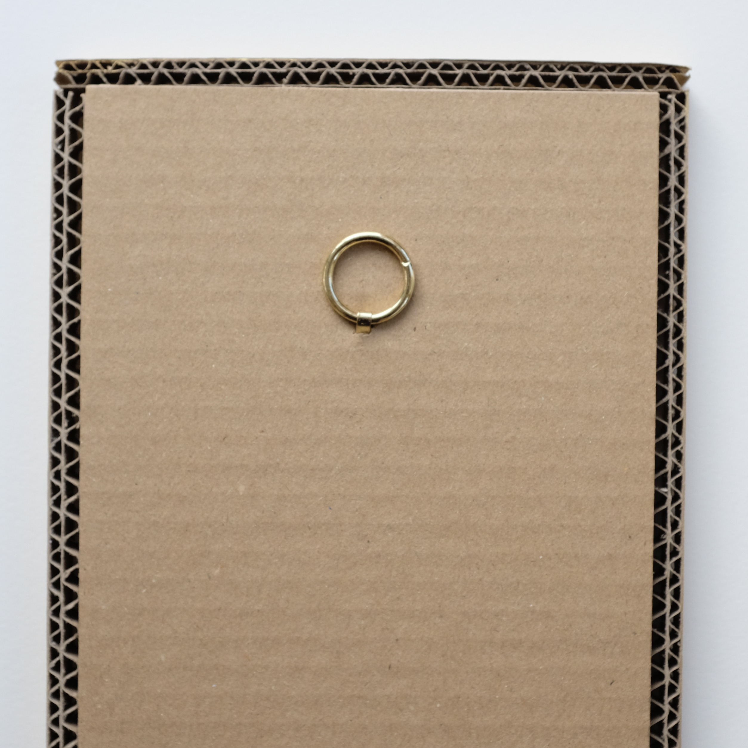 La sorcière & l’étoile filante