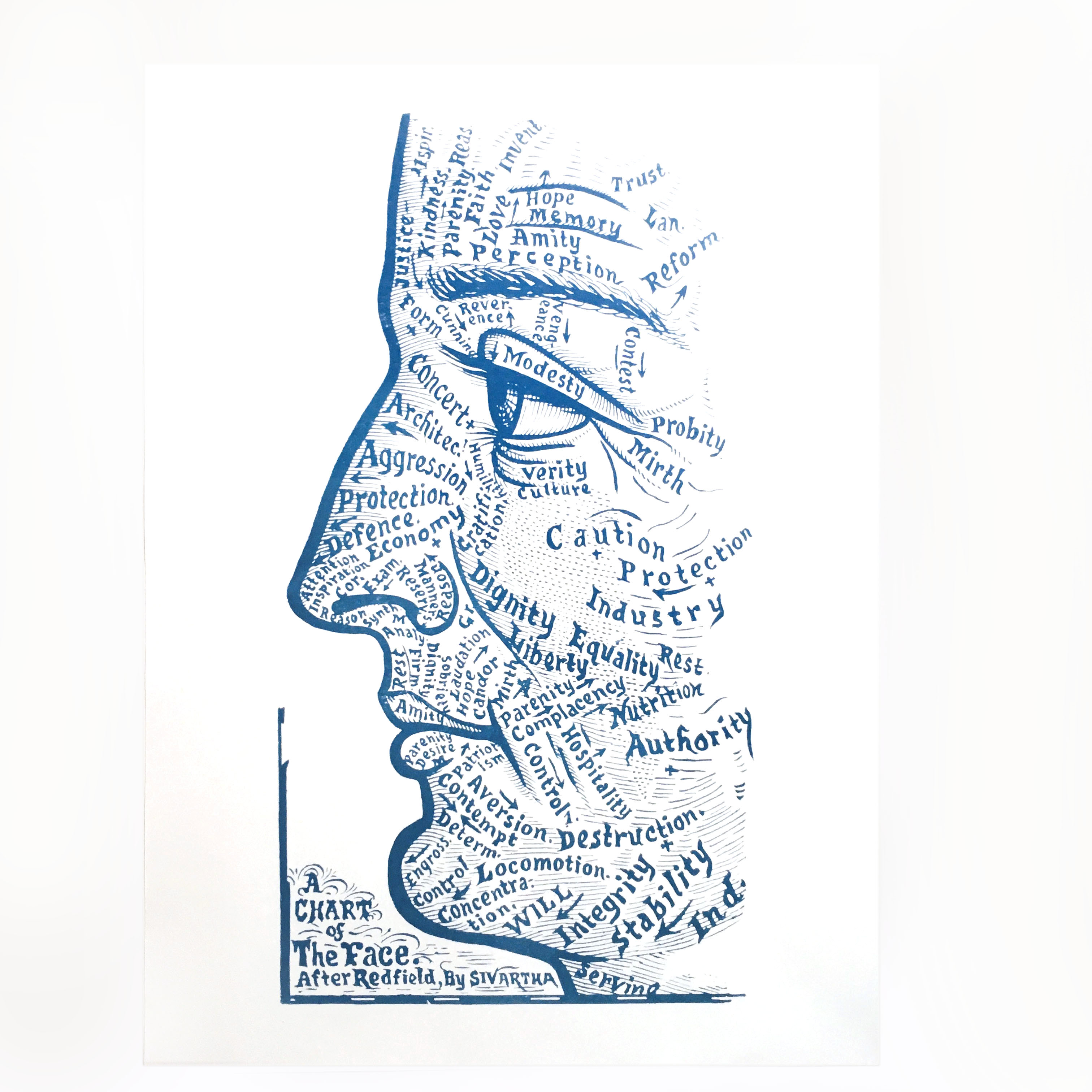 Cyanotype « Chart of the face » Dr Sivartha, 1898