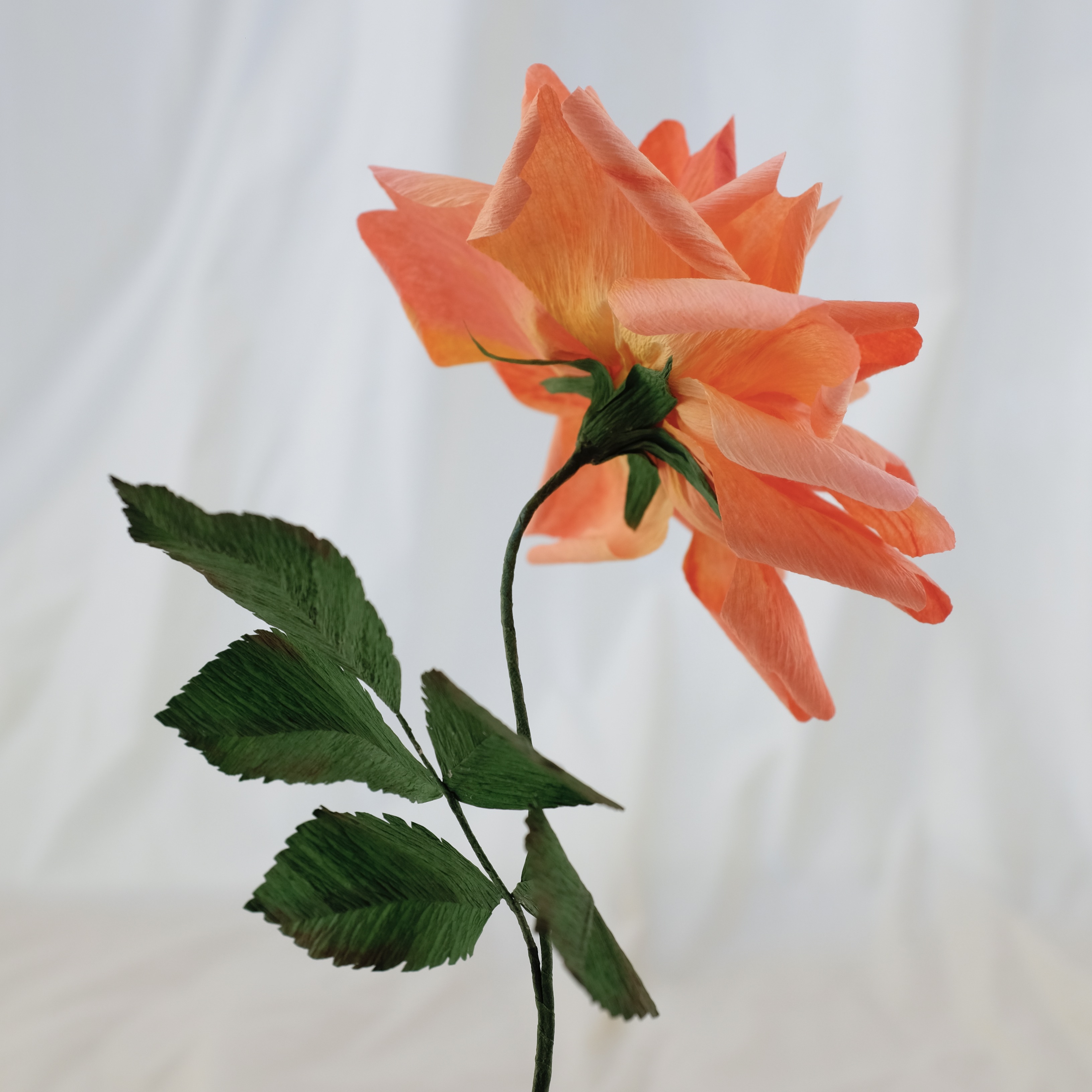 Fleur en papier : Rose (rose orangé)