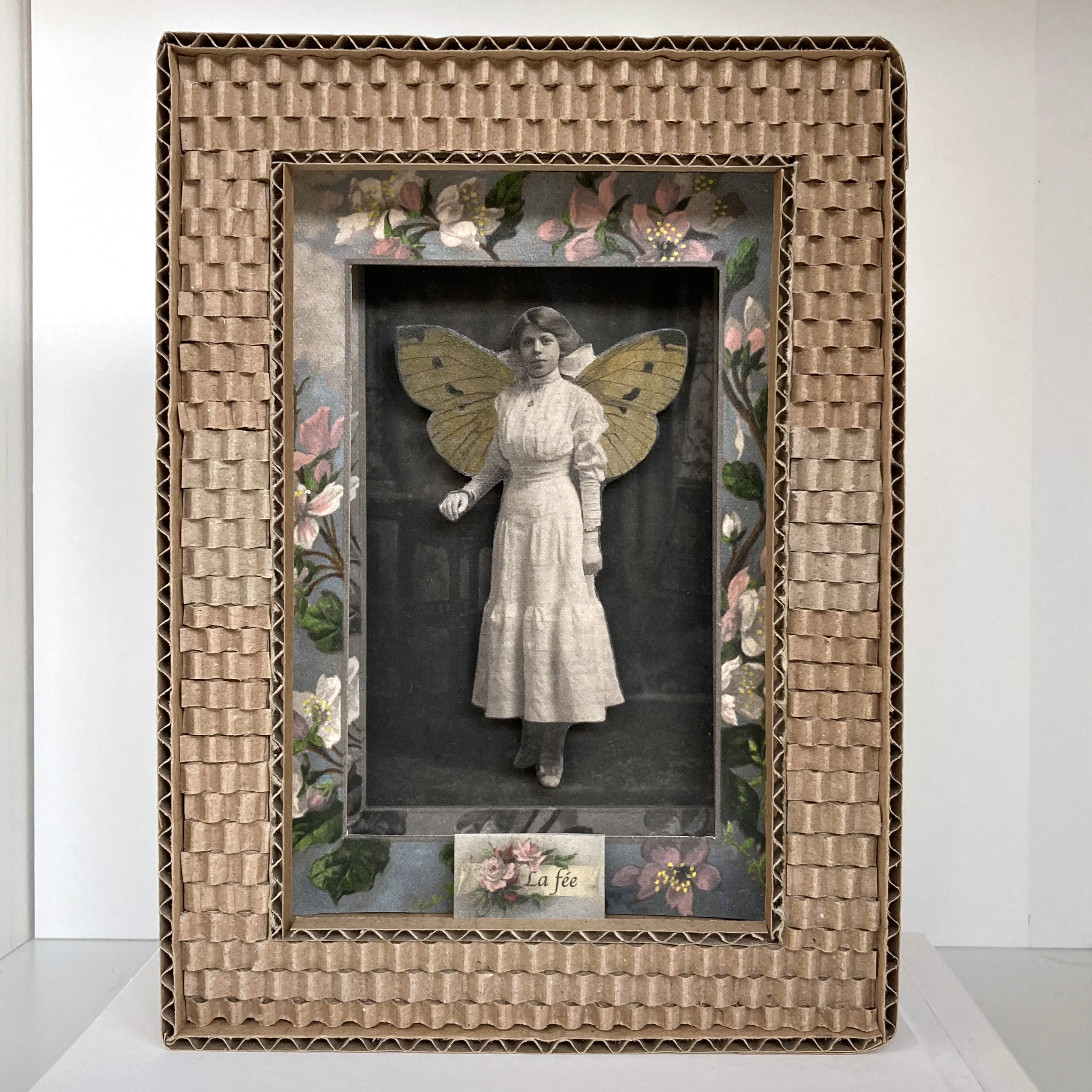 Petite vitrine la fée papillon