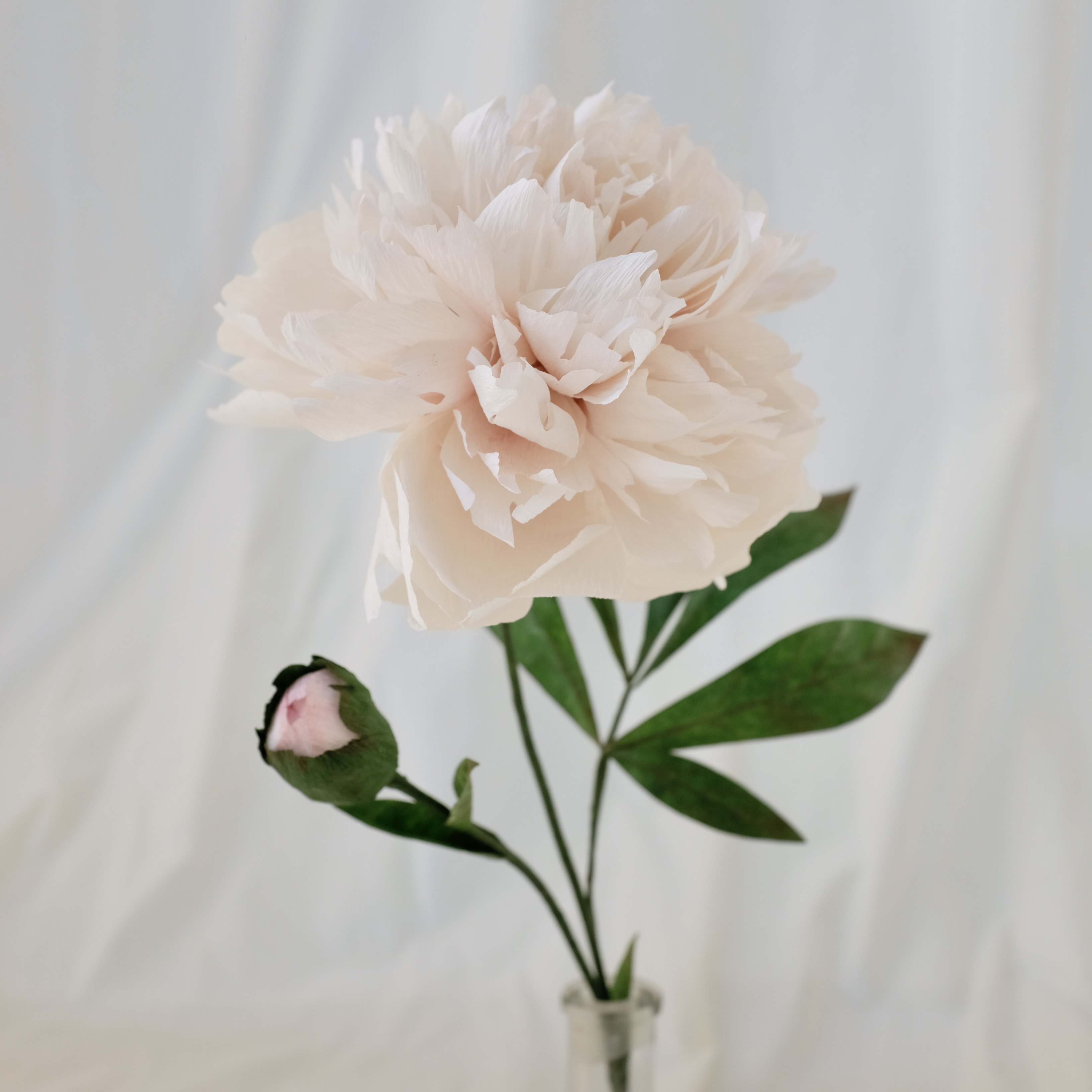 Fleur en papier : Pivoine blanche
