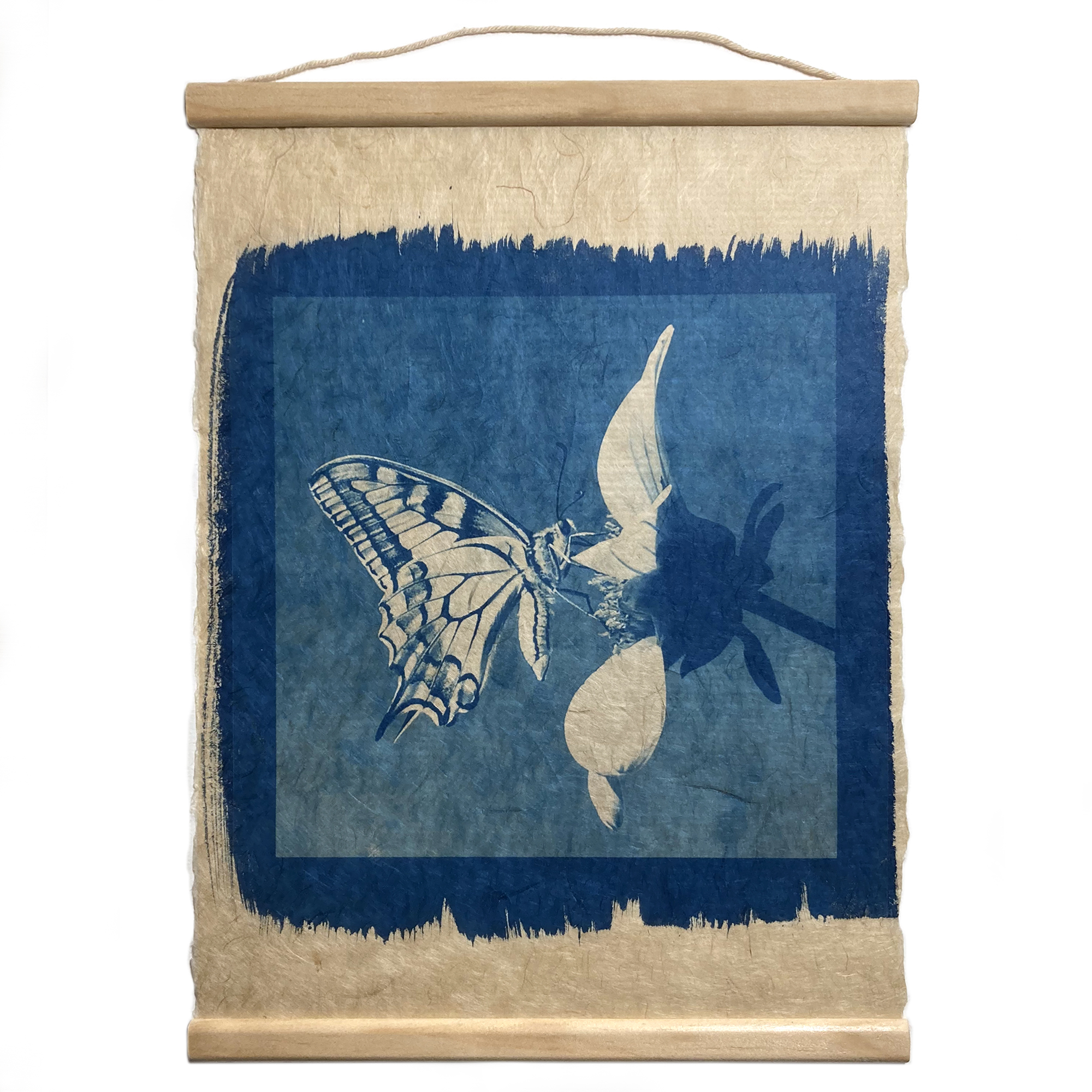 Cyanotype « Le papillon Machaon»