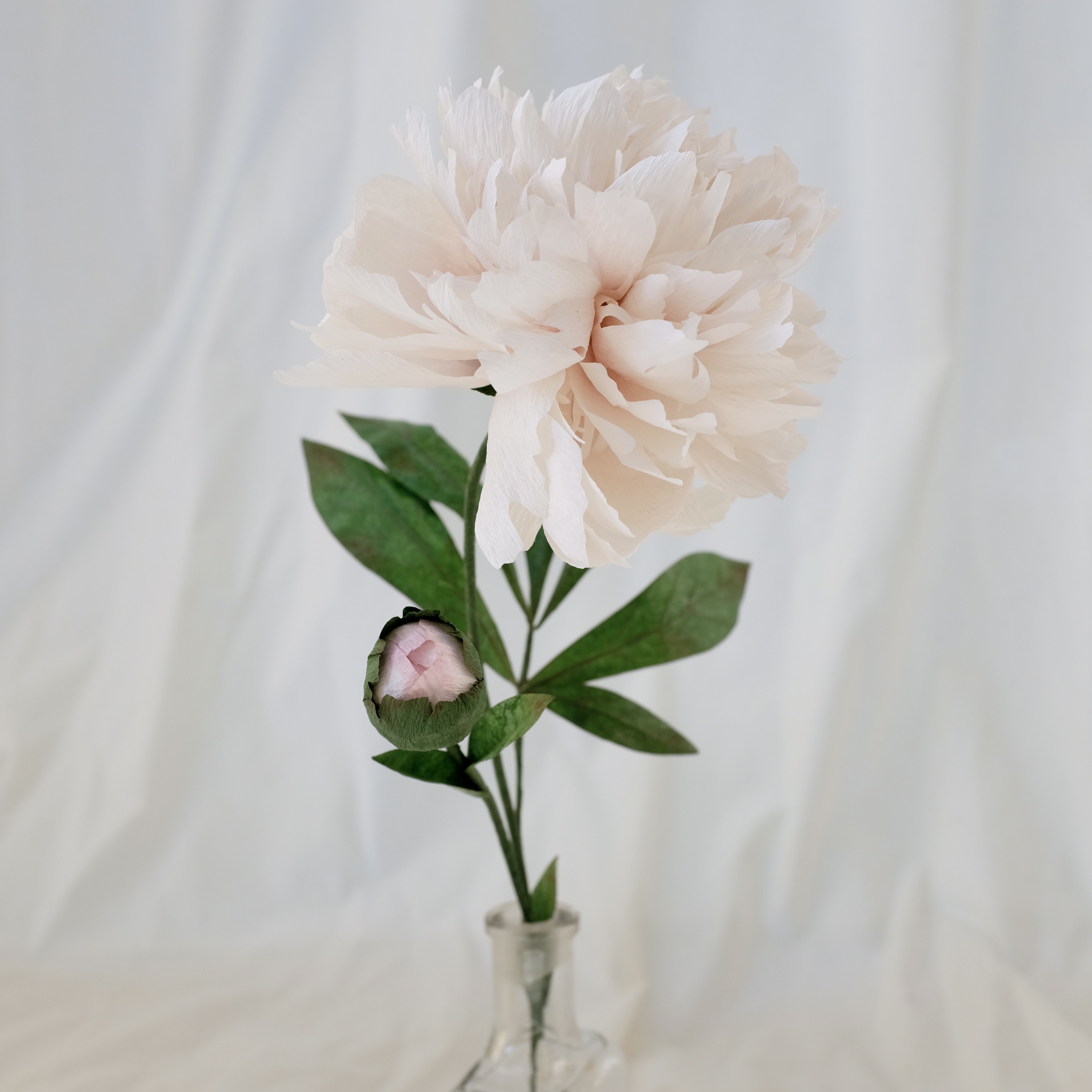 Fleur en papier : Pivoine blanche
