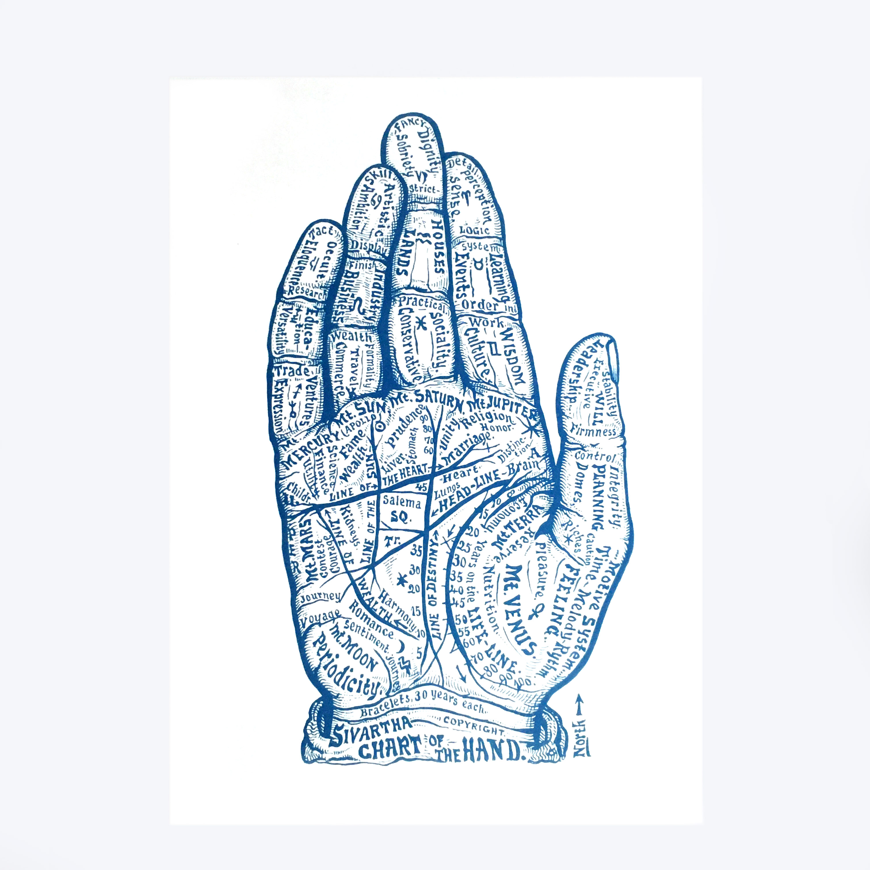 Cyanotype « Chart of the hand » Dr Sivartha, 1898
