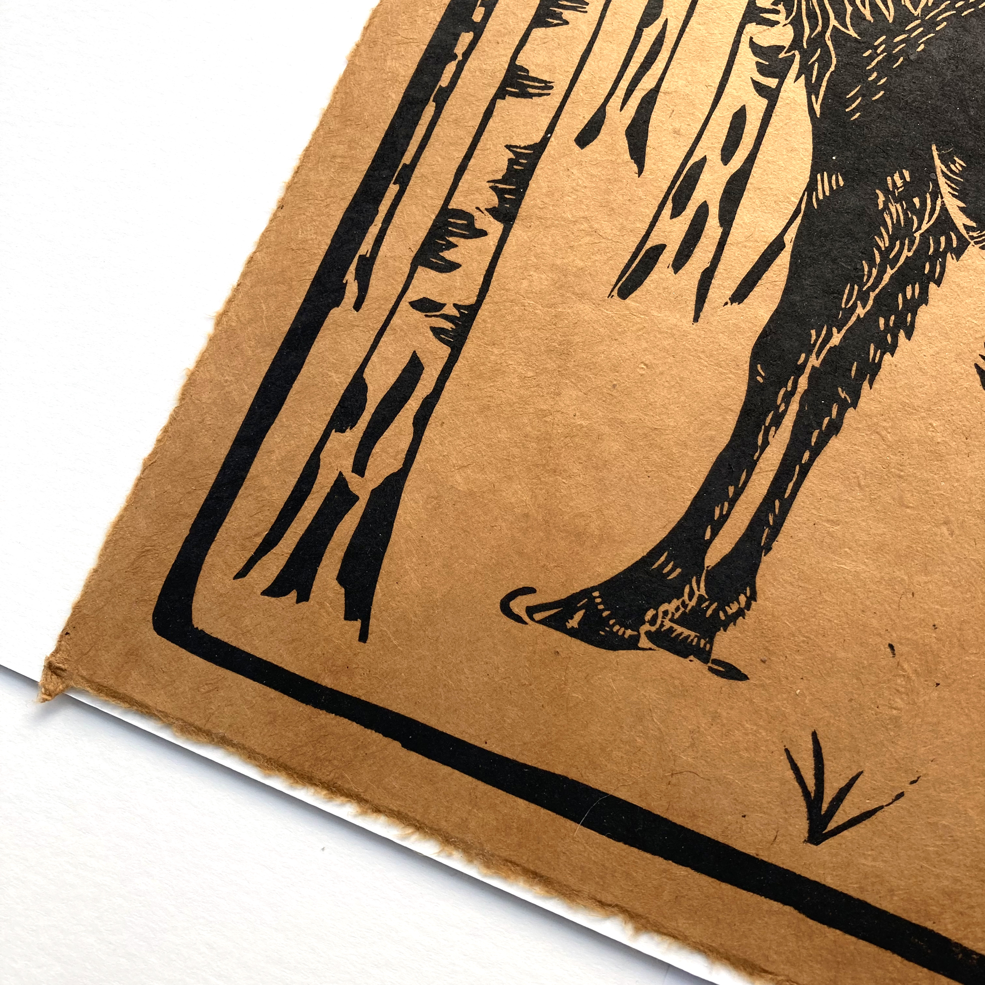 Linogravure cerf dans une forêt de bouleaux