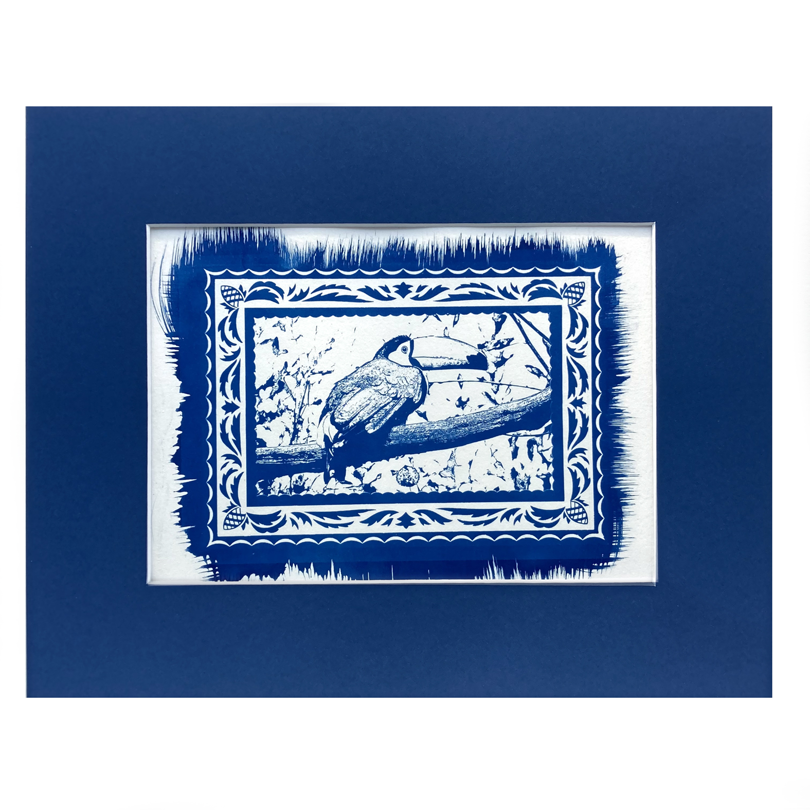 Cyanotype Toucan