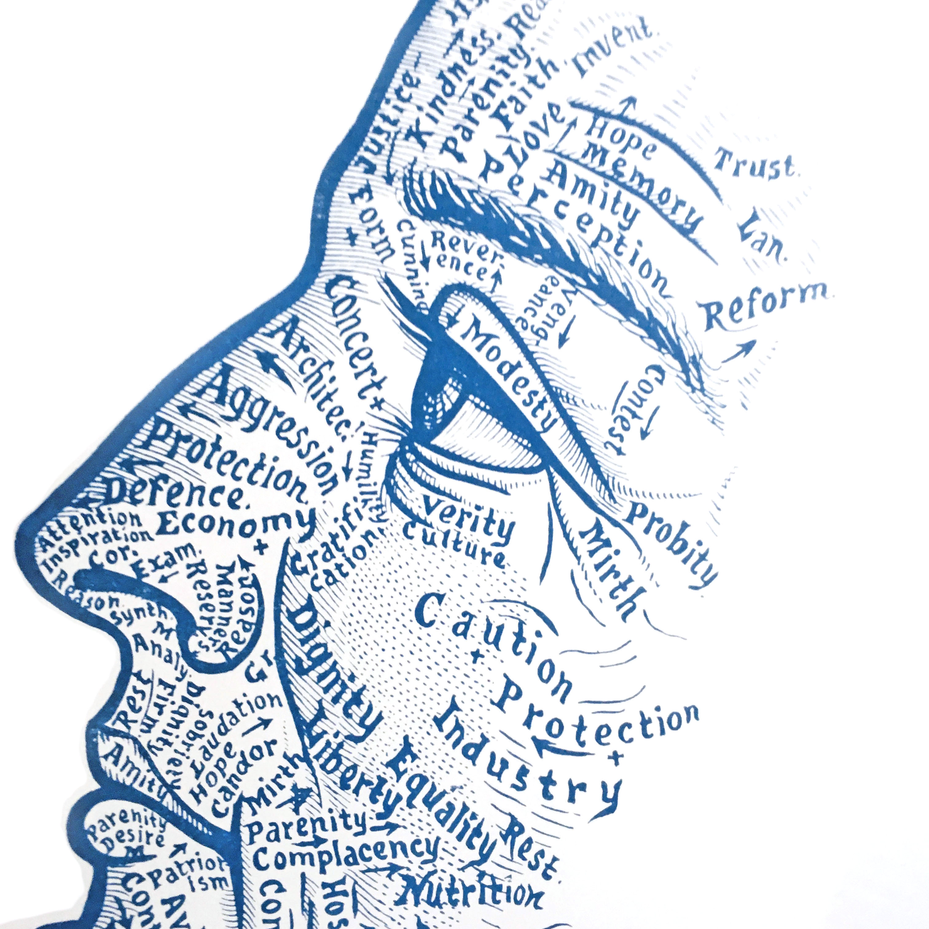 Cyanotype « Chart of the face » Dr Sivartha, 1898