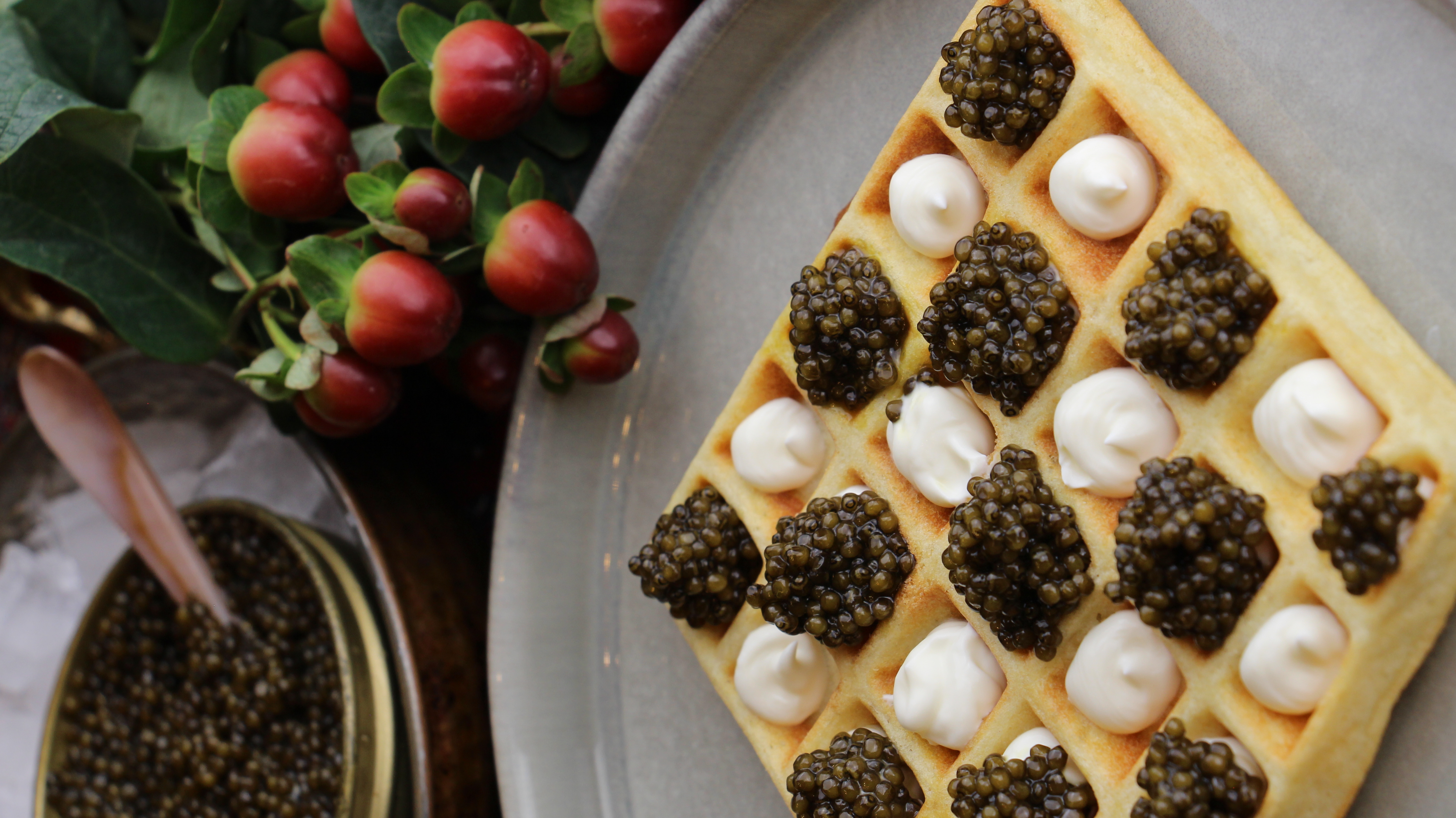 Caviar Osciètre