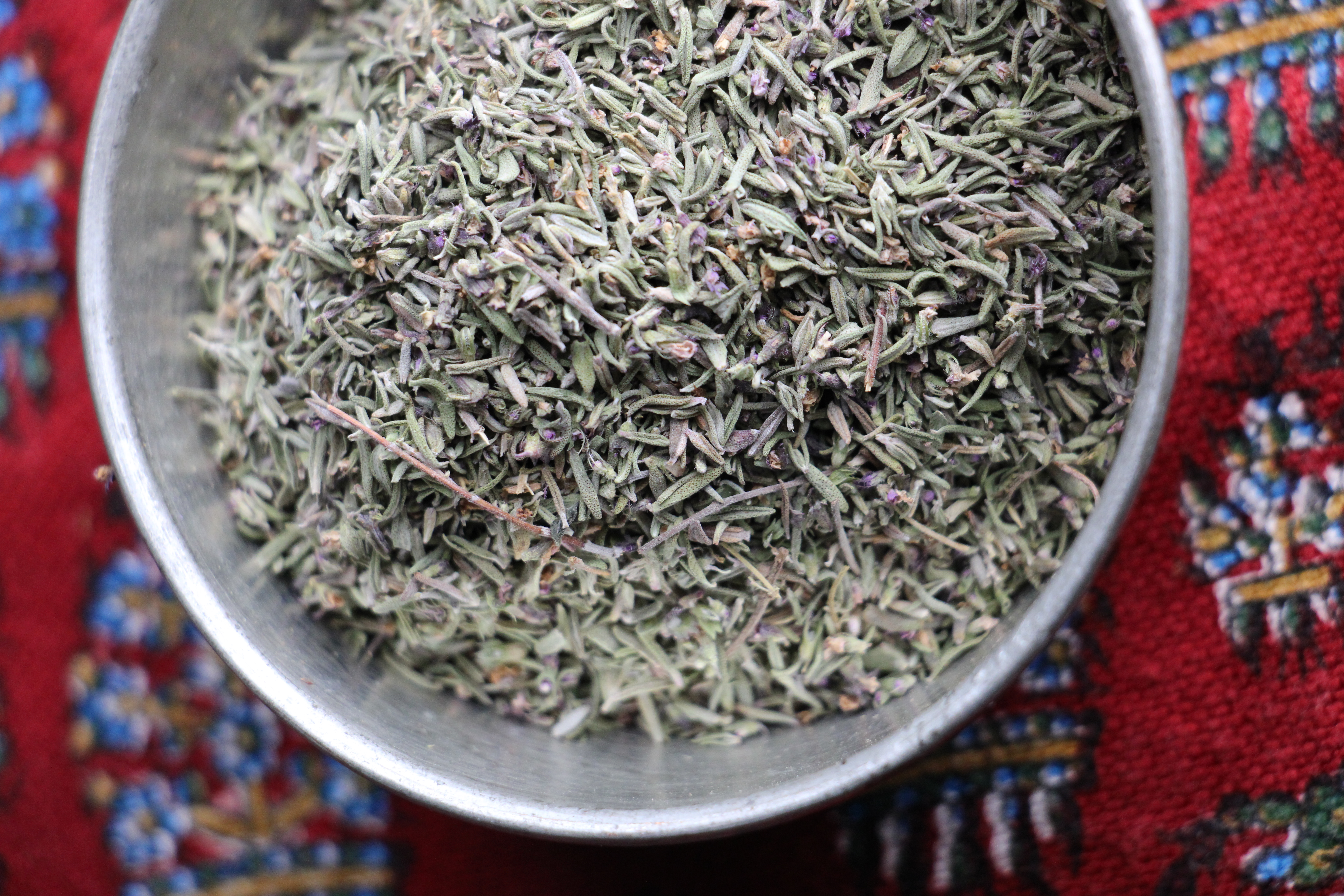 Thym sauvage